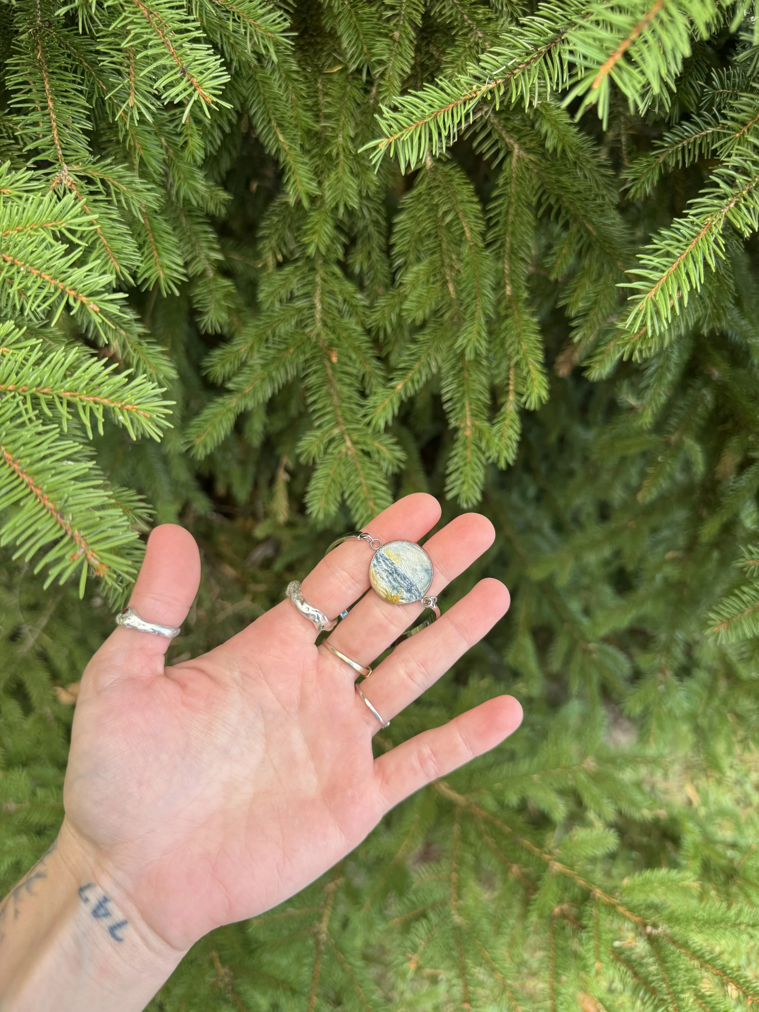 IMG_5830.jpeg