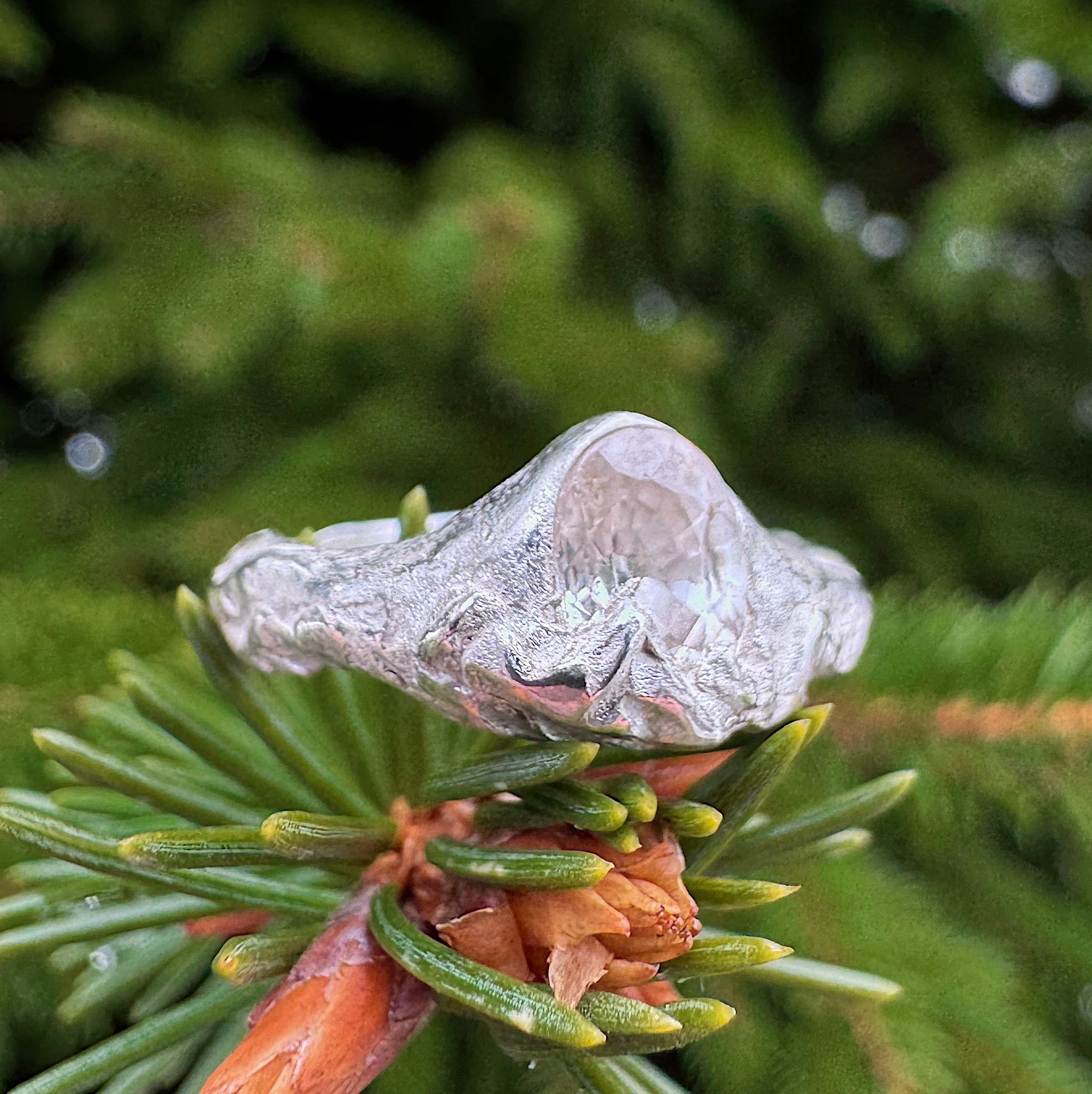 quiet place to land, 6 3/4