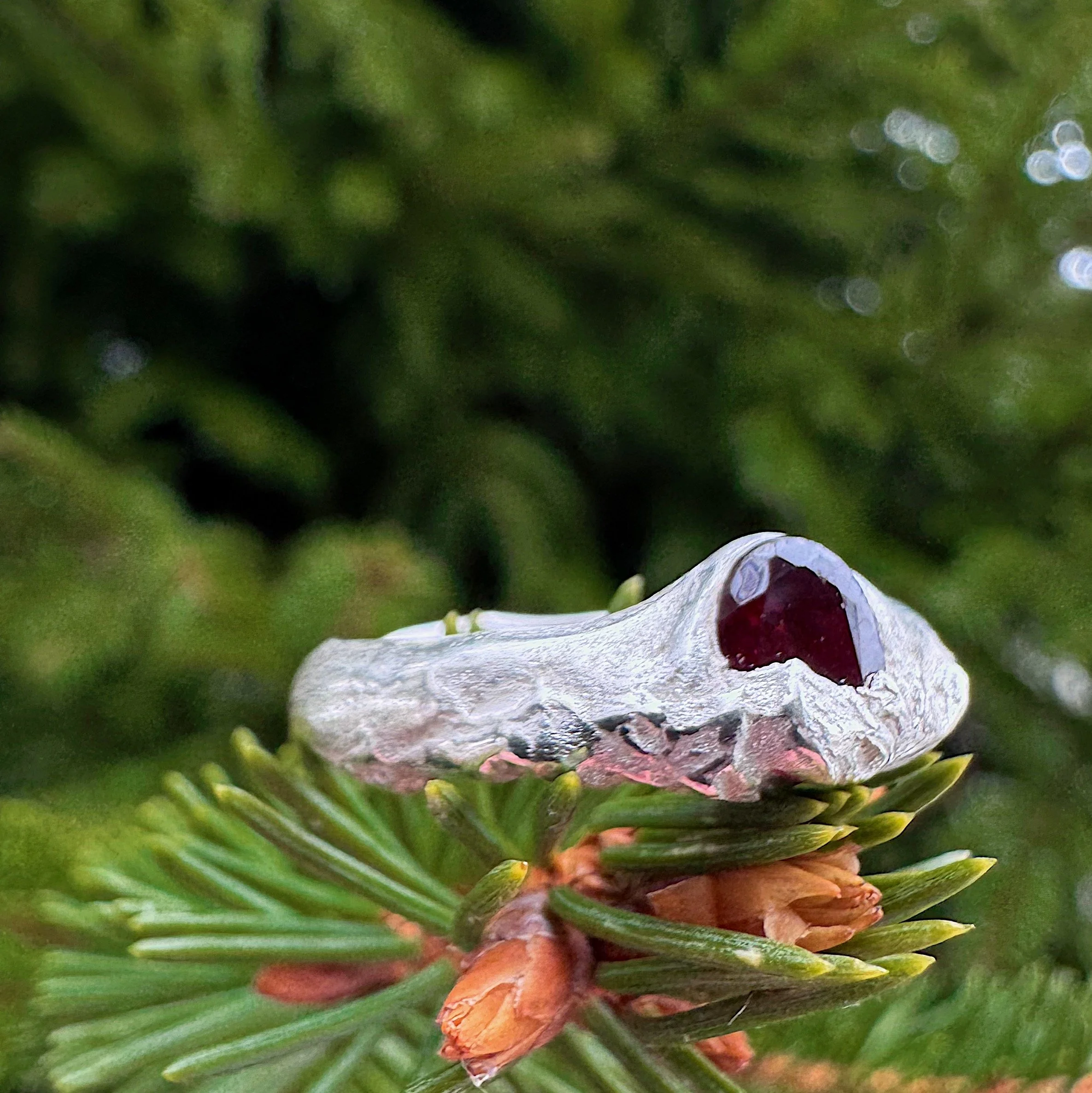 the darkest sunset, 9.5