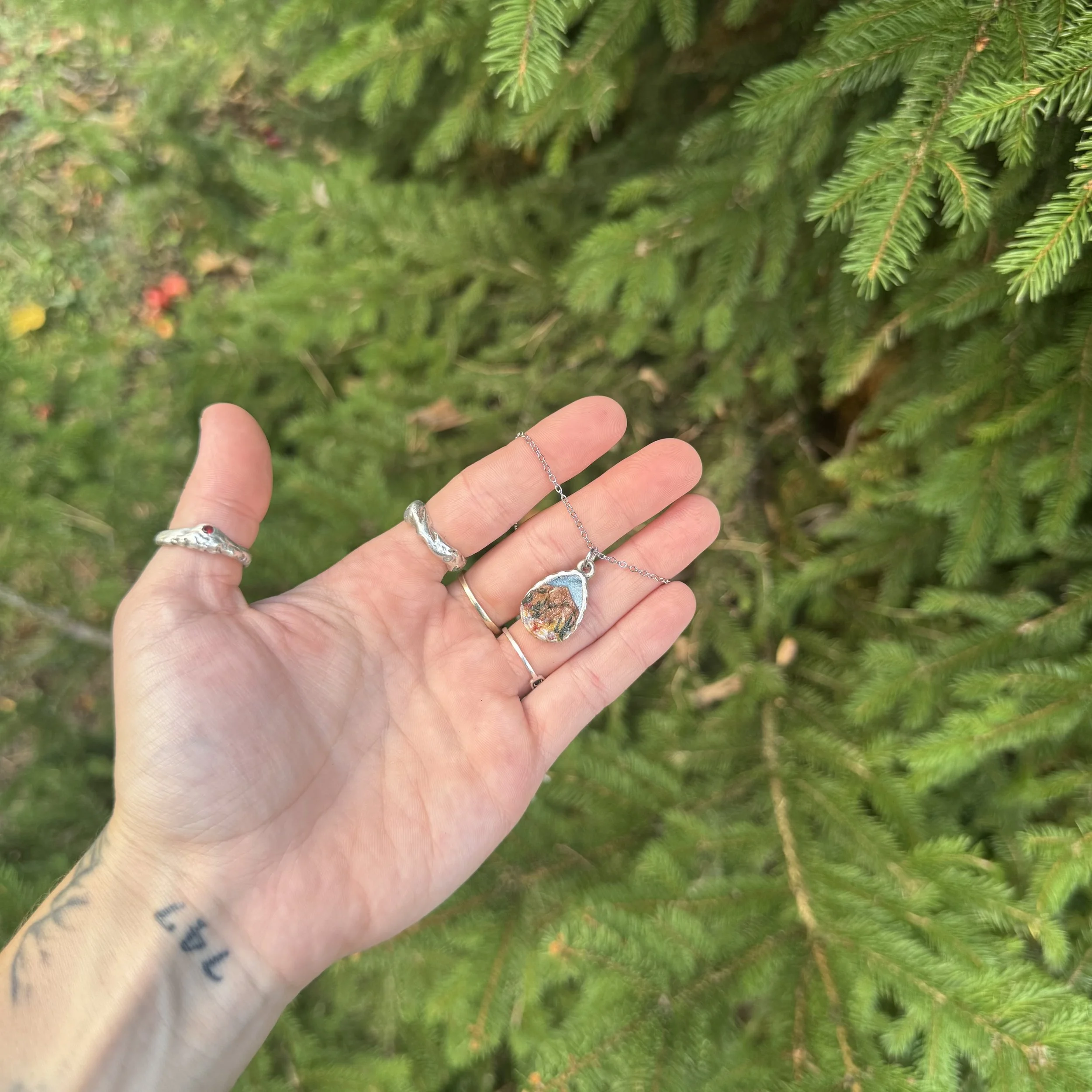 IMG_5968.jpeg