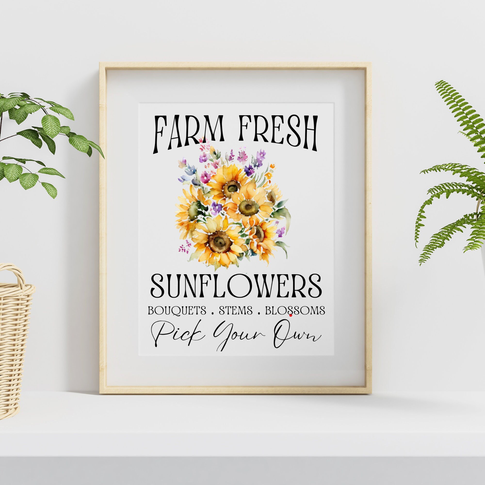 https://i.etsystatic.com/12299957/r/il/52c469/4905021635/il_fullxfull.4905021635_q1mp.jpg