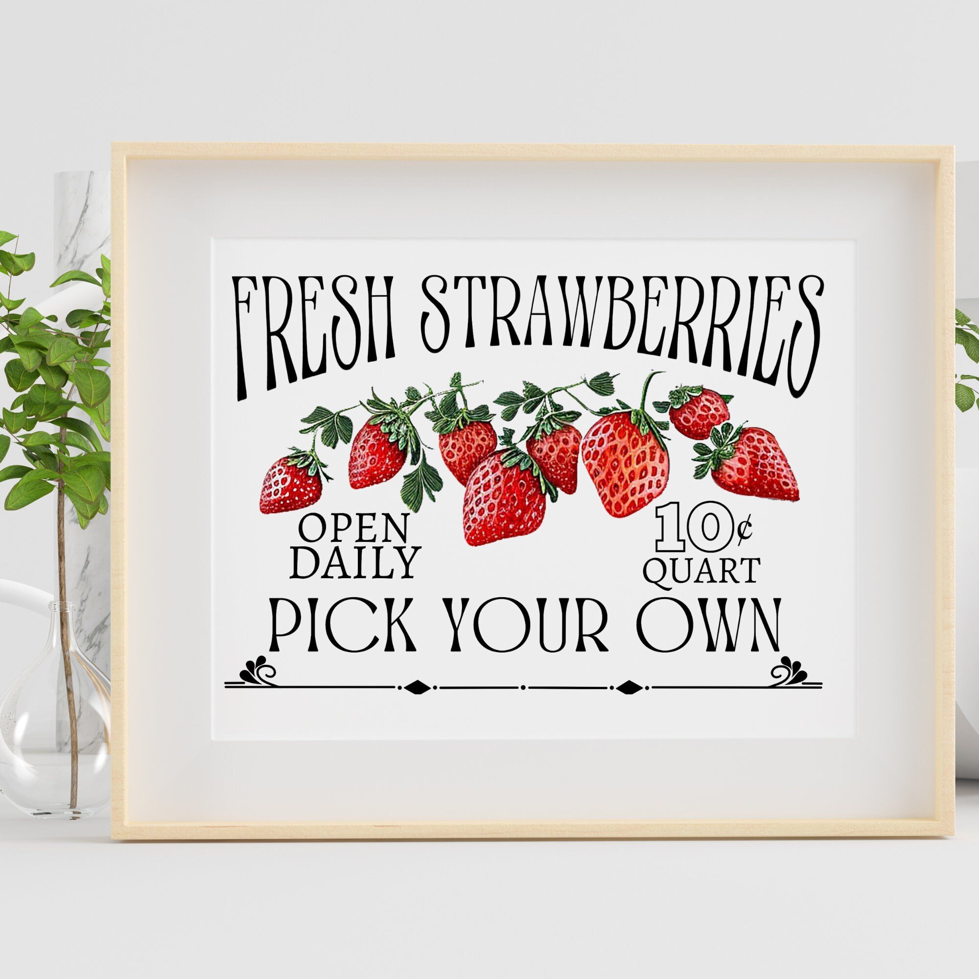 https://i.etsystatic.com/12299957/r/il/ede94a/4843217717/il_fullxfull.4843217717_5drb.jpg