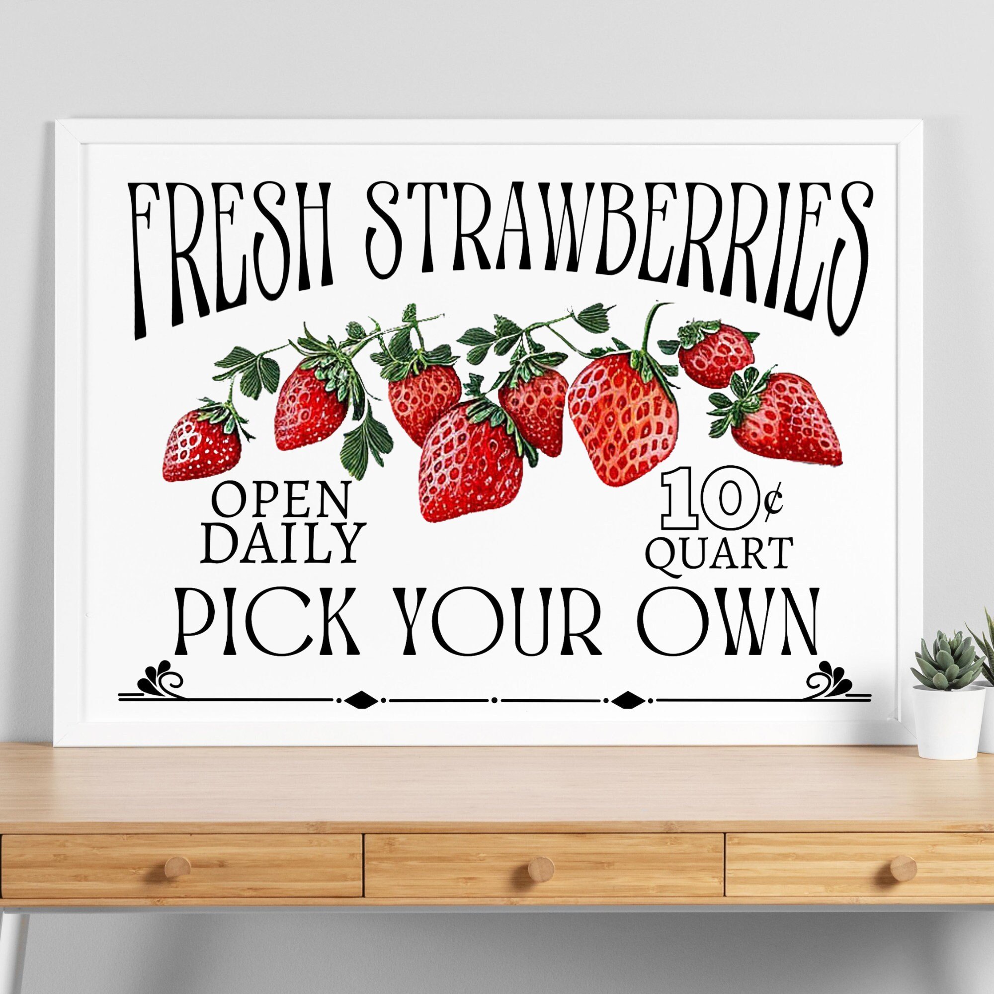 https://i.etsystatic.com/12299957/r/il/66ec6c/4794948598/il_fullxfull.4794948598_87nm.jpg
