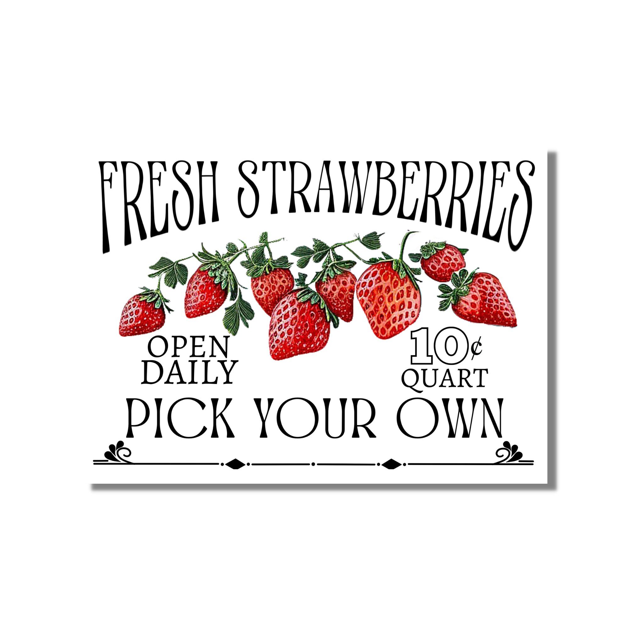 https://i.etsystatic.com/12299957/r/il/1d2e0d/4843217685/il_fullxfull.4843217685_92b9.jpg