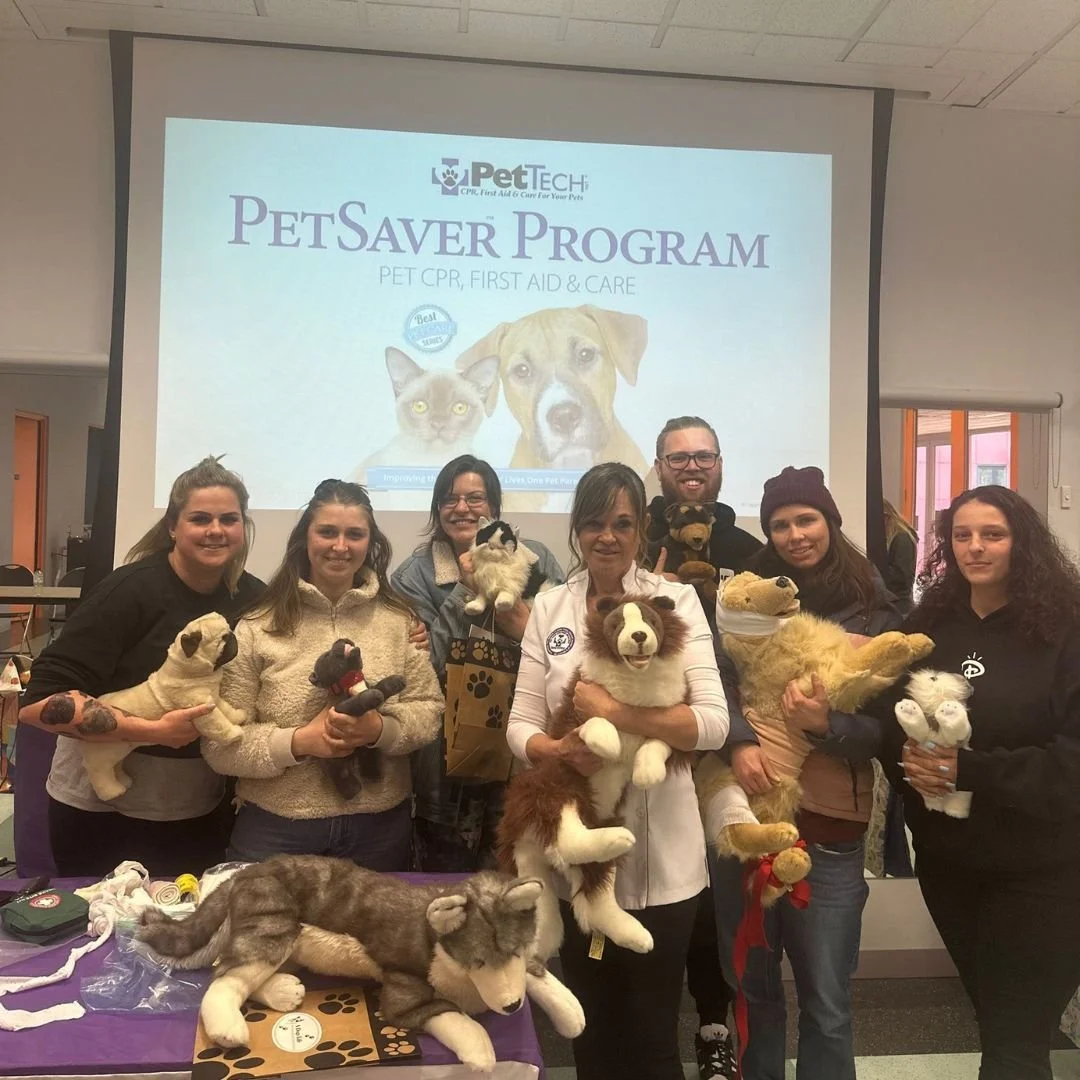 Trusted Dog Walkers in Melbourne Inner West