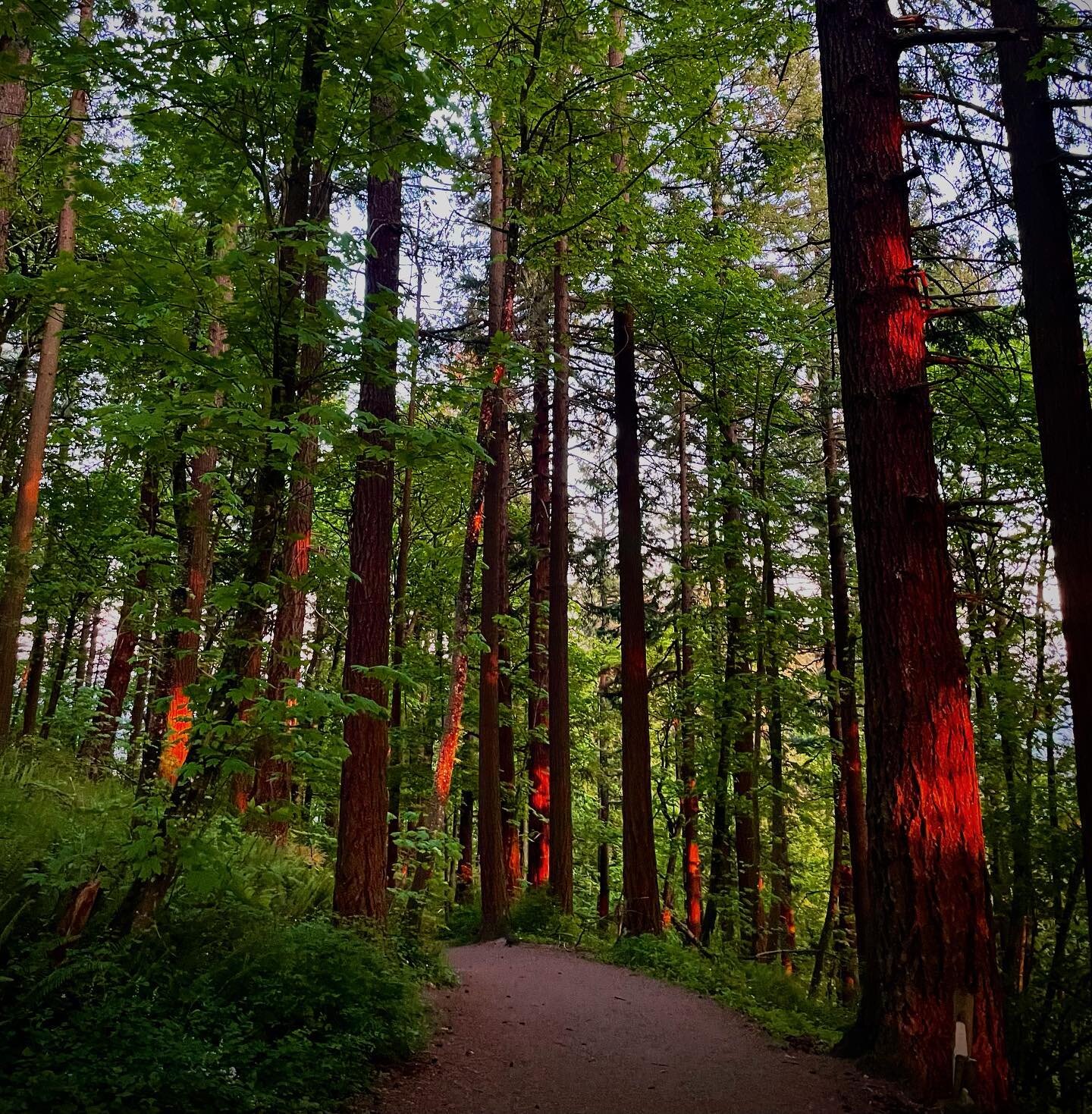 Sunset glow on Tabor.