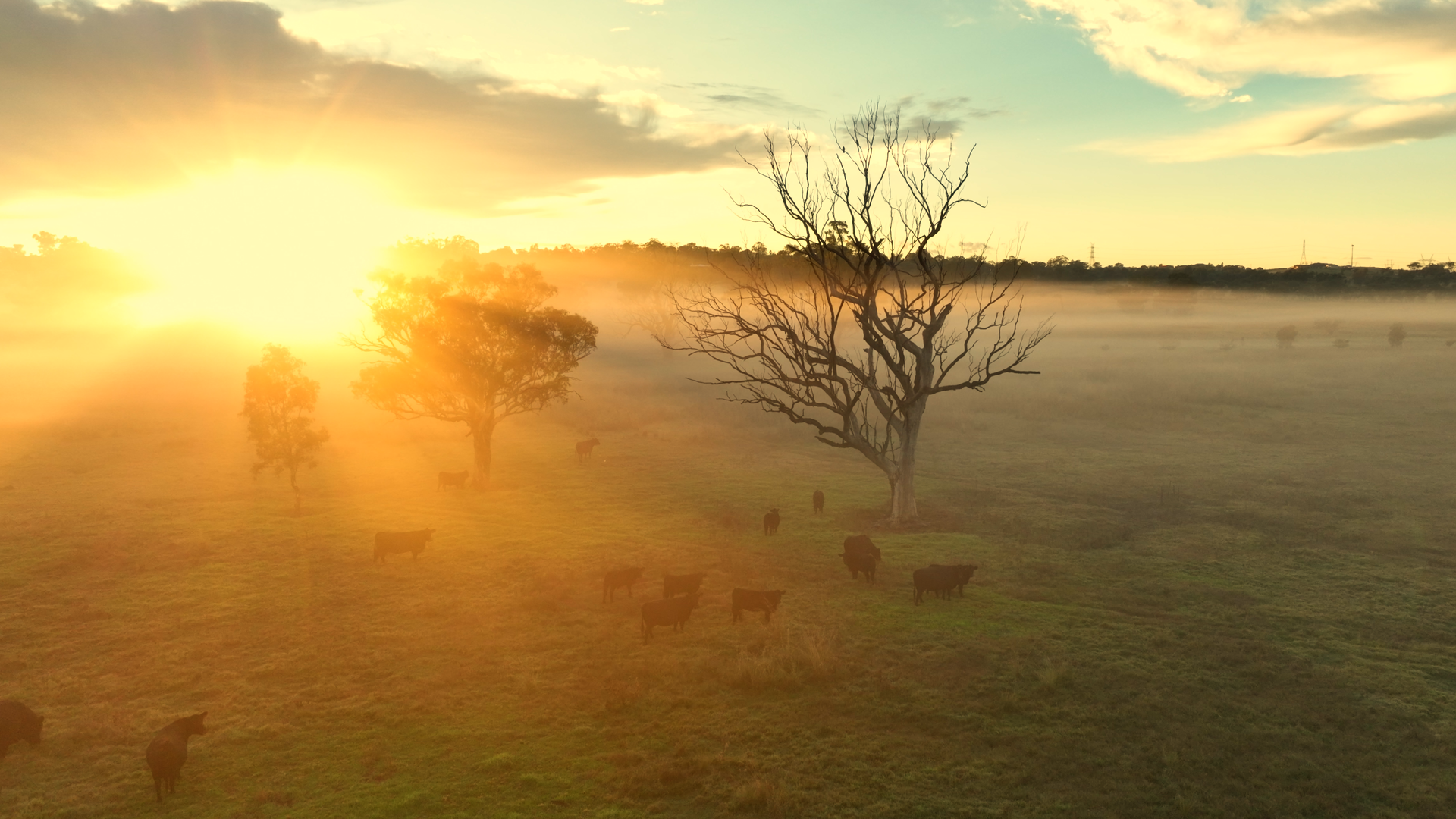 Home Page Video Loop Place holder_1.1.1.png