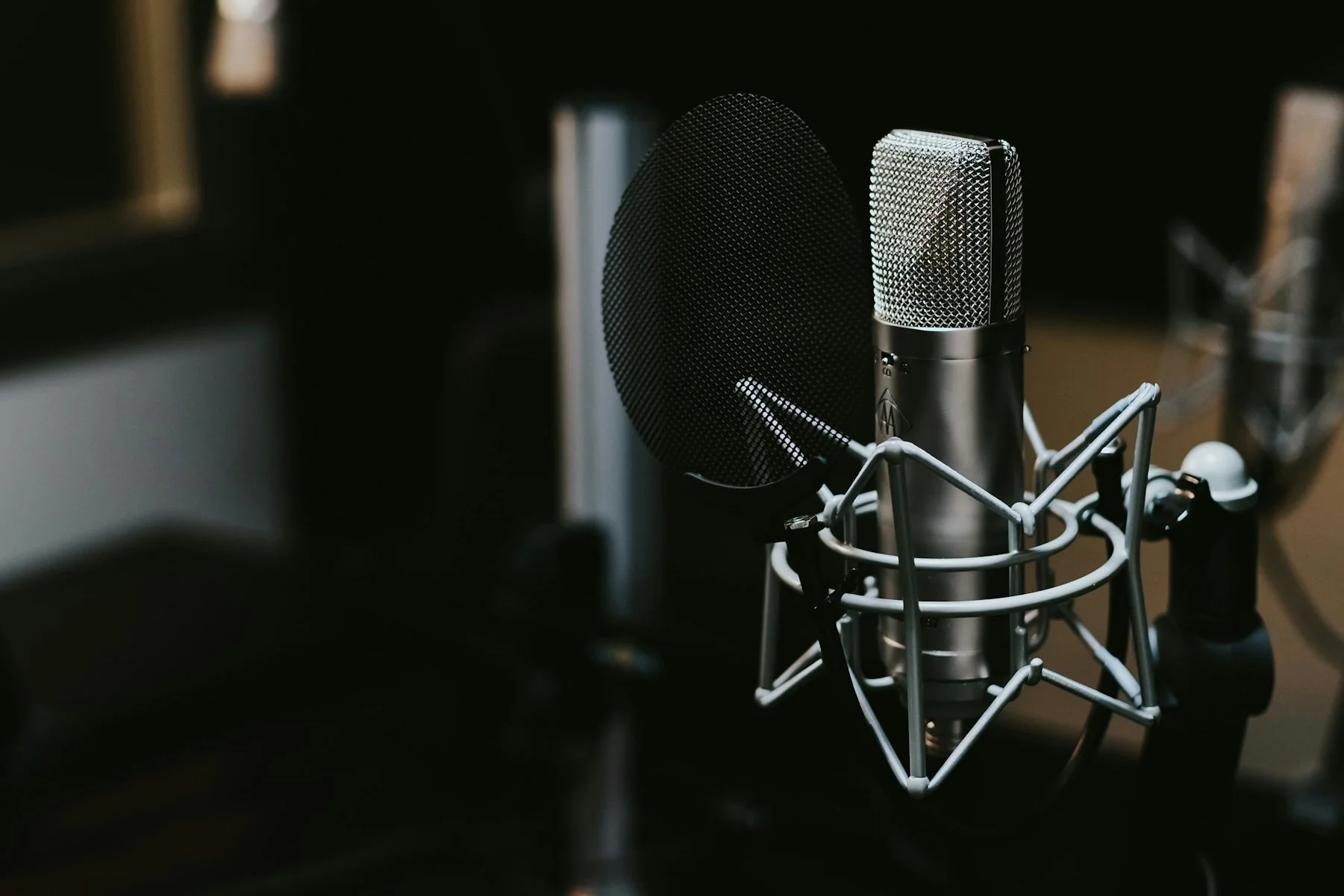 A professional studio microphone with a pop filter in front of it, mounted on a shock mount.