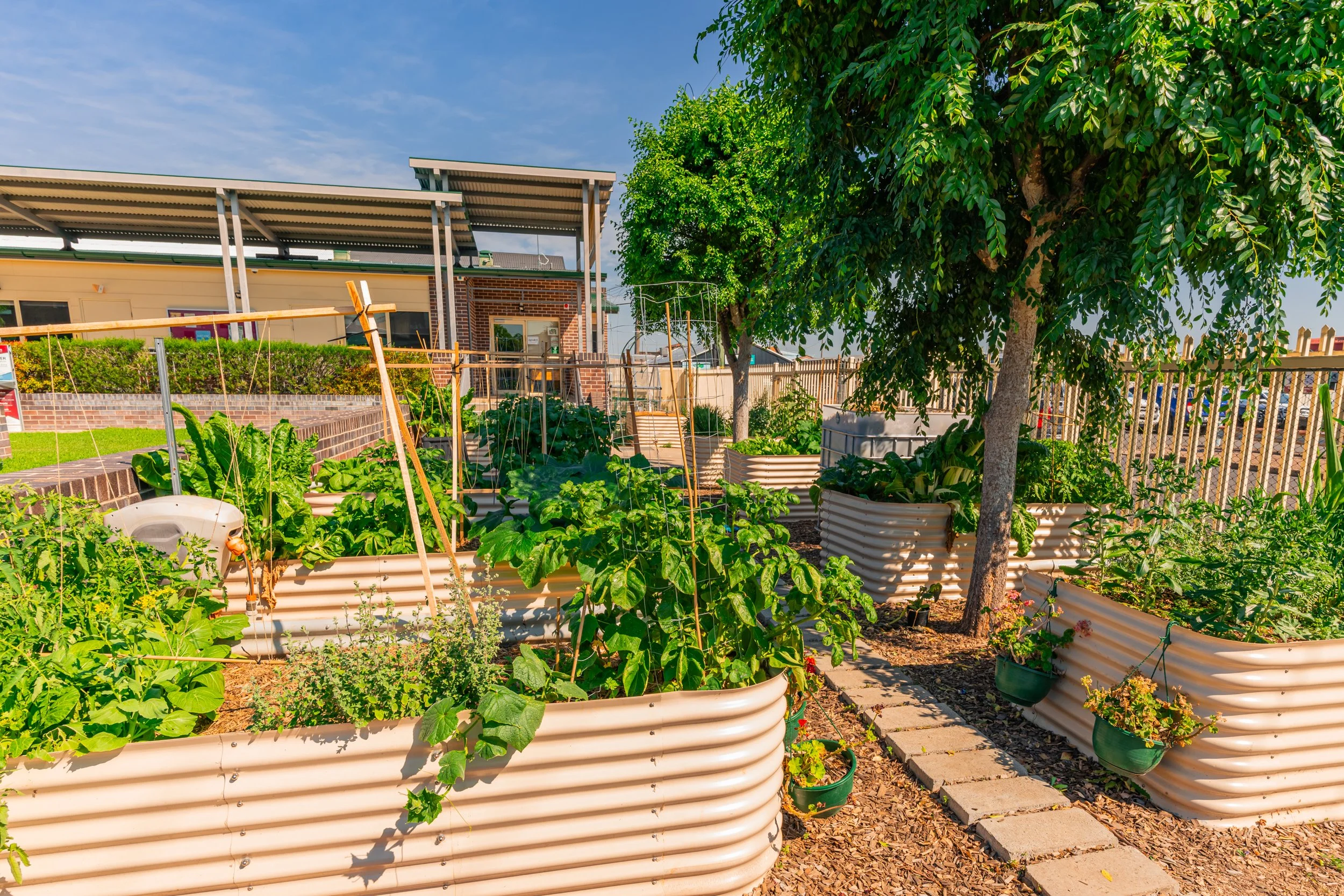Agriculture learning area with a veggie garden in raised garden beds at Carinya Christian School, Gunnedah.