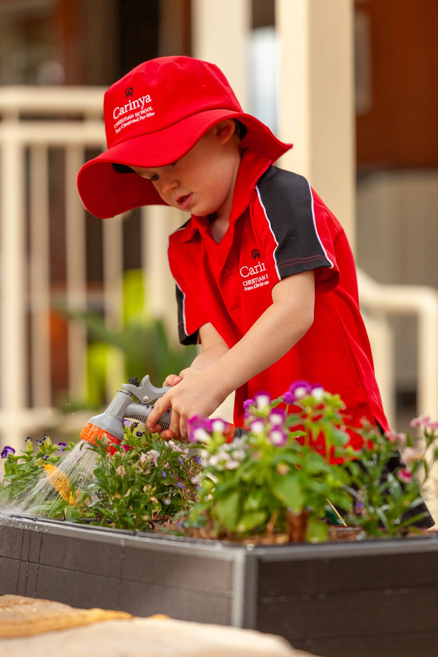 A young boy wearing a red sun hat and matching red shirt watering flowers in a garden bed.