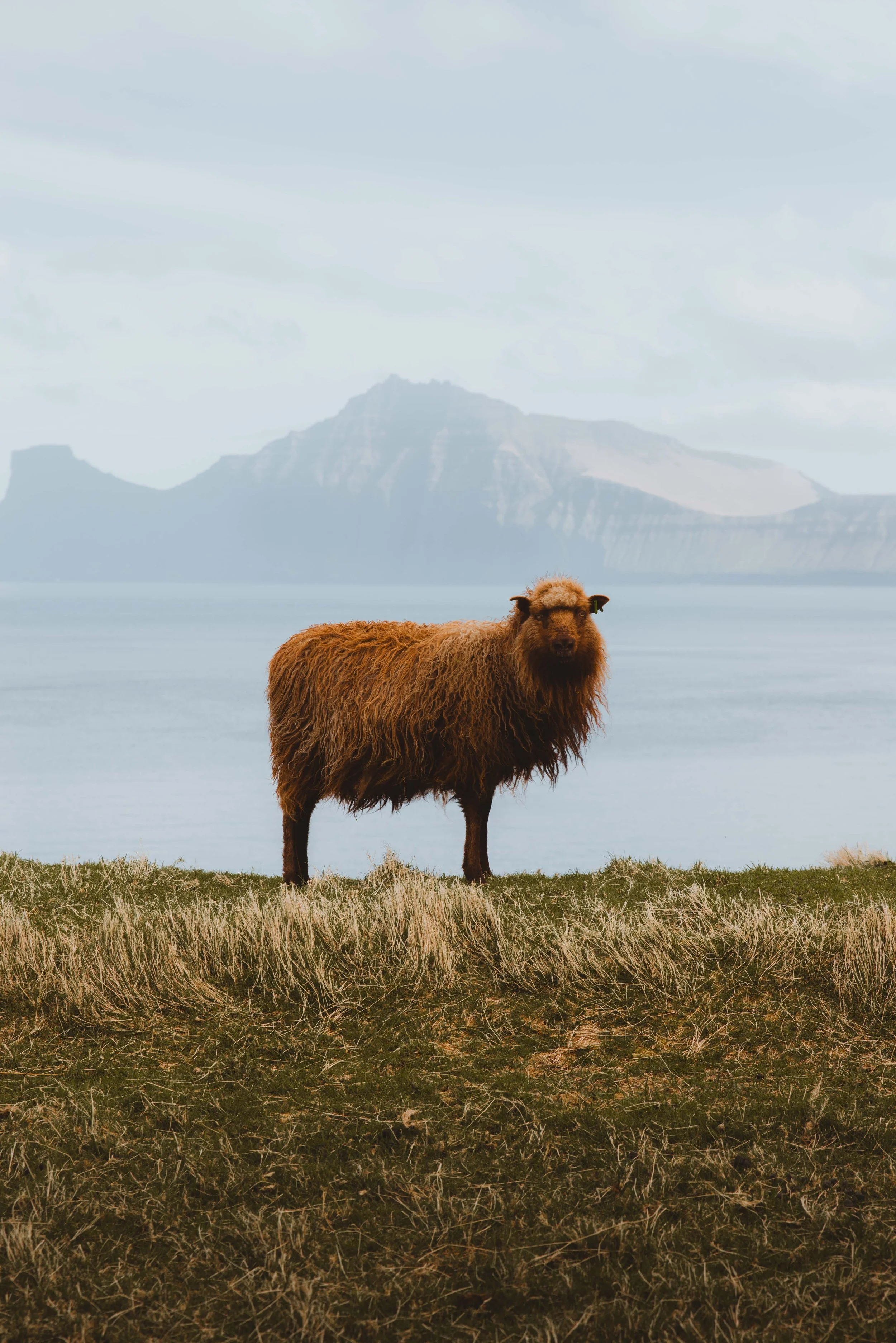 Faroe Islands
