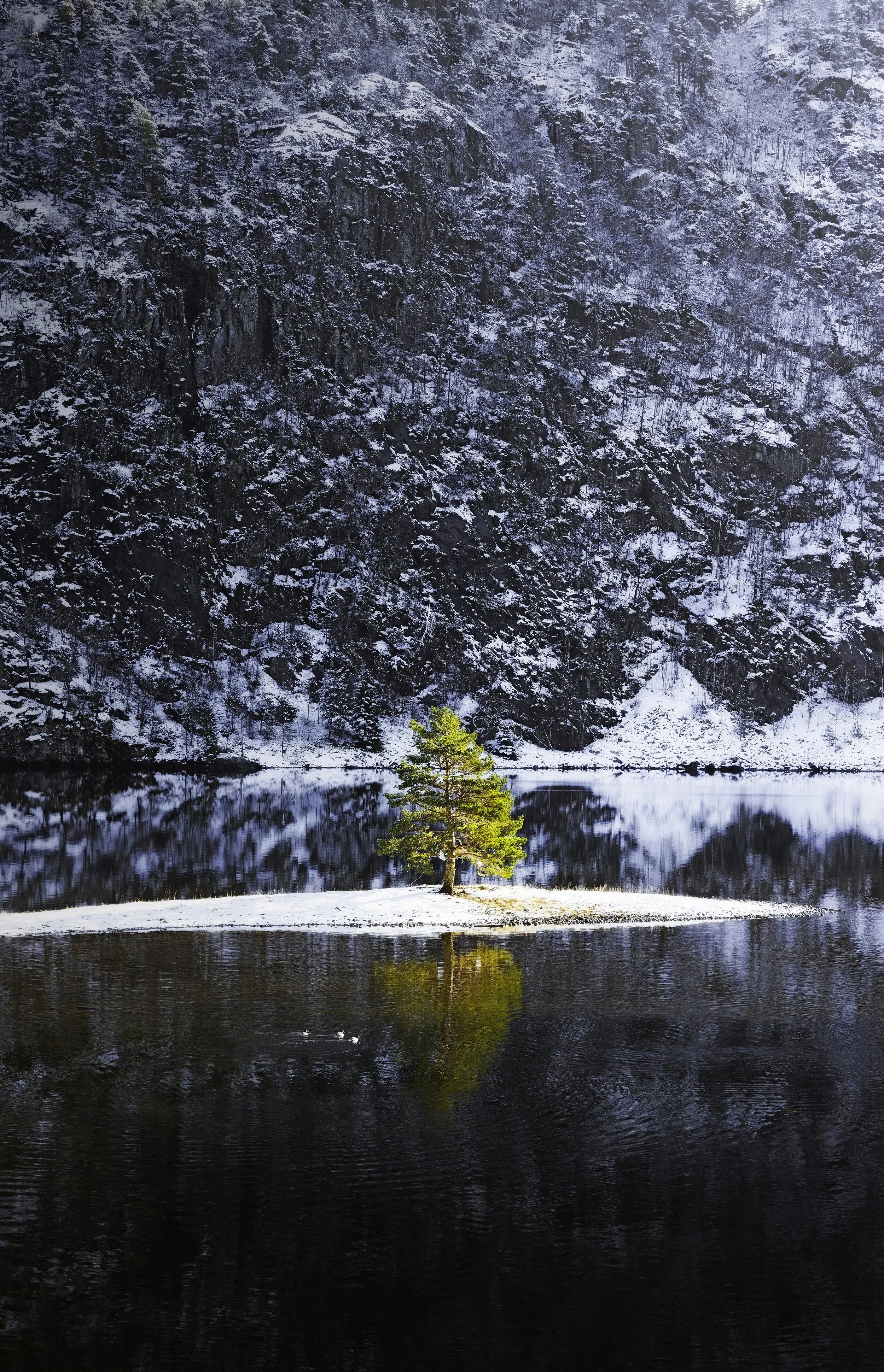 0X7A1175-Edit.jpg