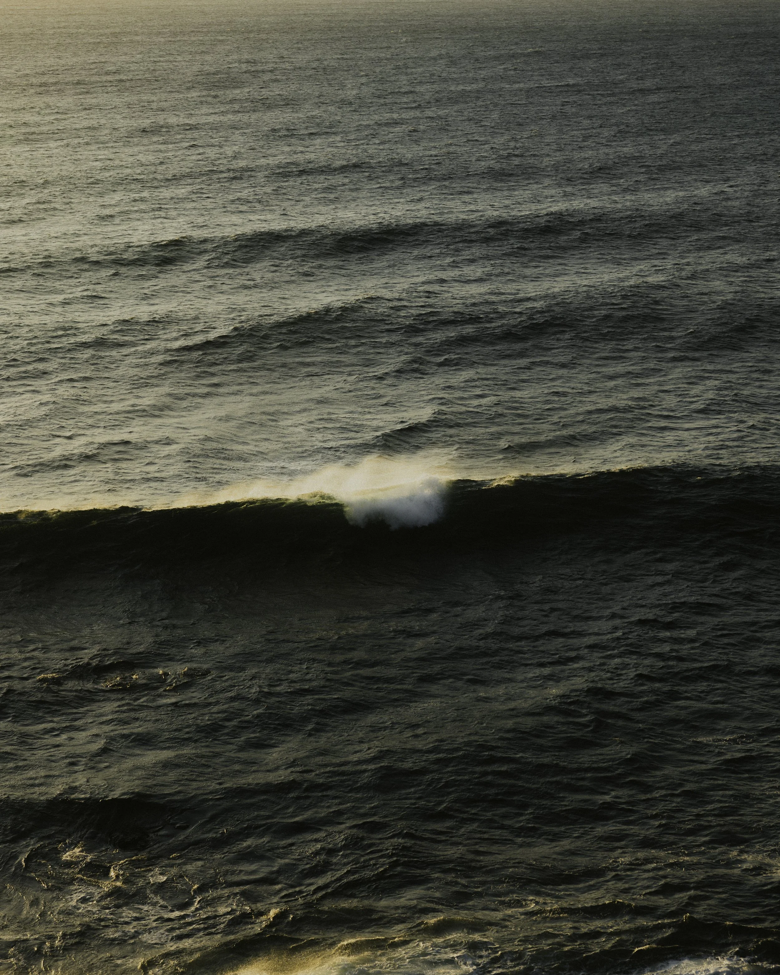 0X7A9546-Edit.jpg