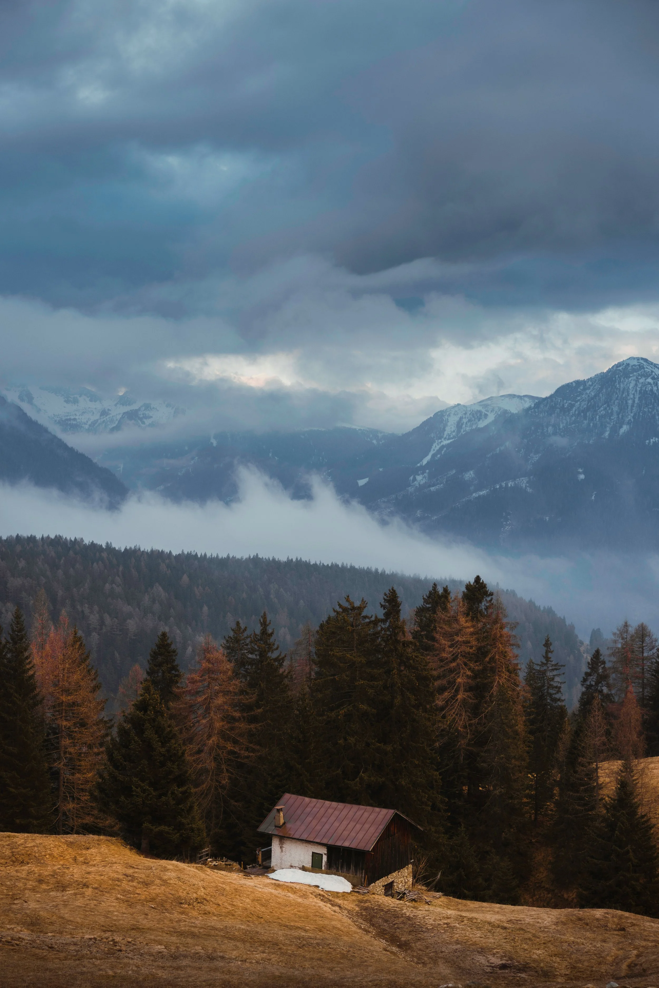 0X7A2516-Edit-2.jpg