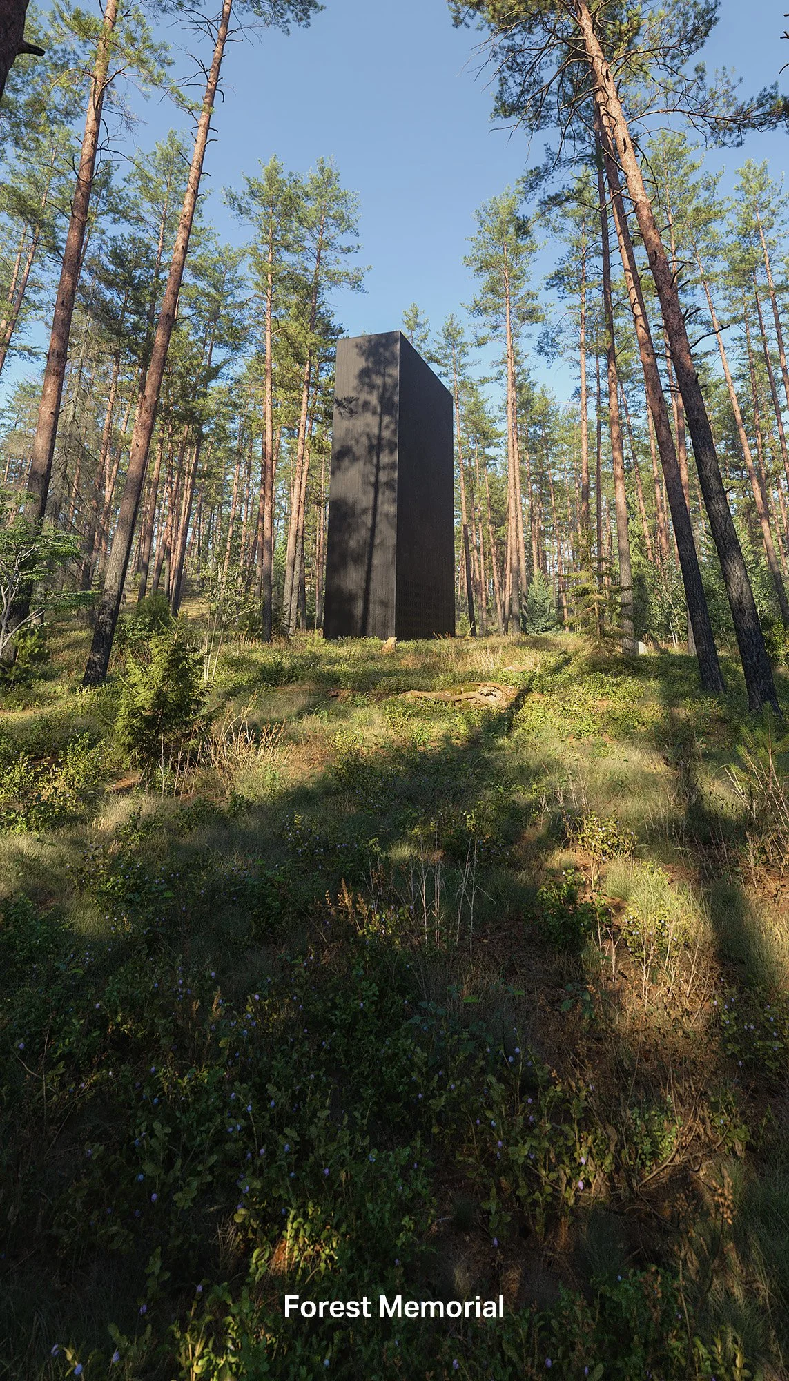 forest_memorial_2022_small_01_link_gallery.jpg