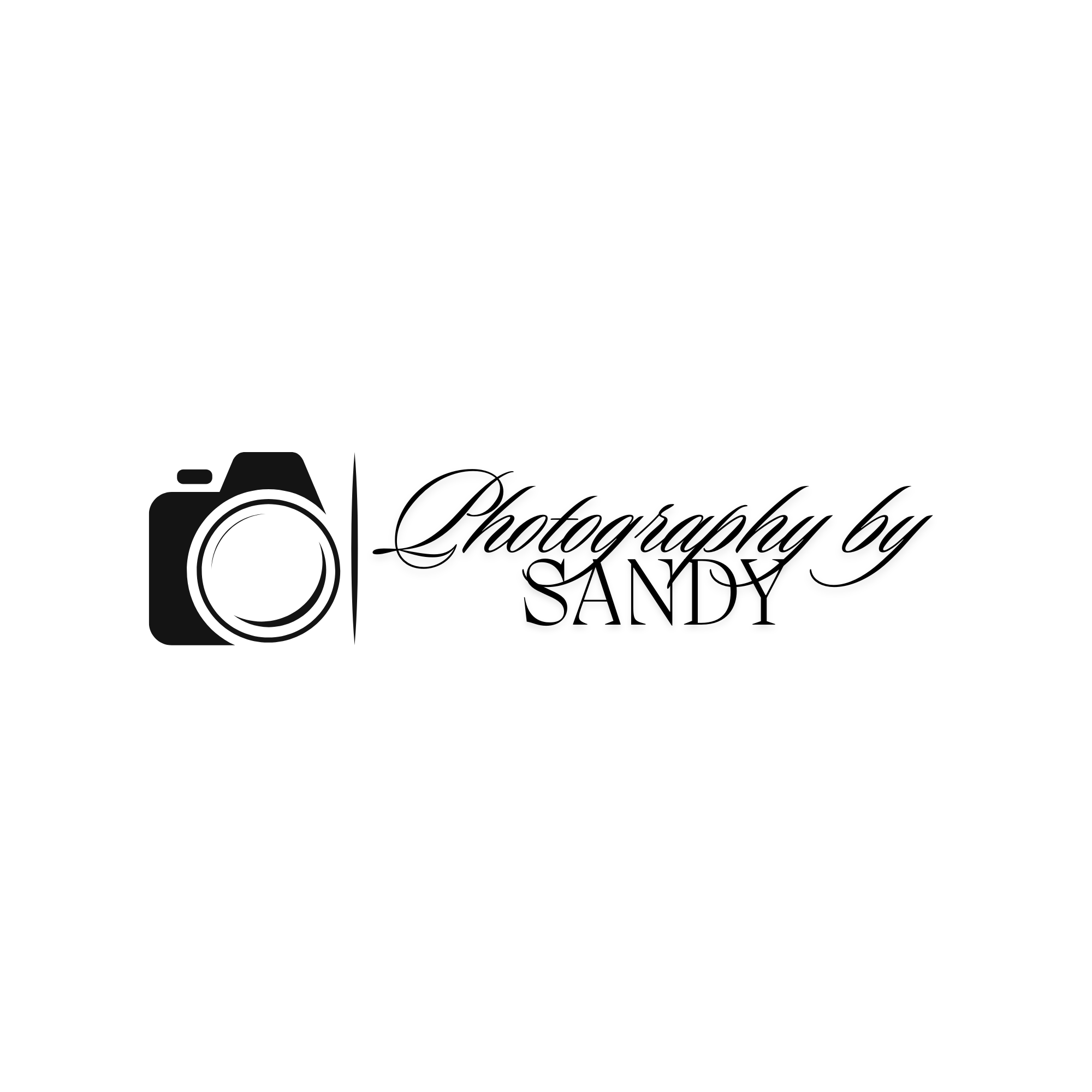 Photography By Sandy Logo.png