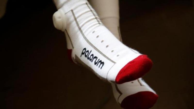 Revolutionizing Healthcare with Wearable Technology: A Deep Dive into Palarum's Innovations