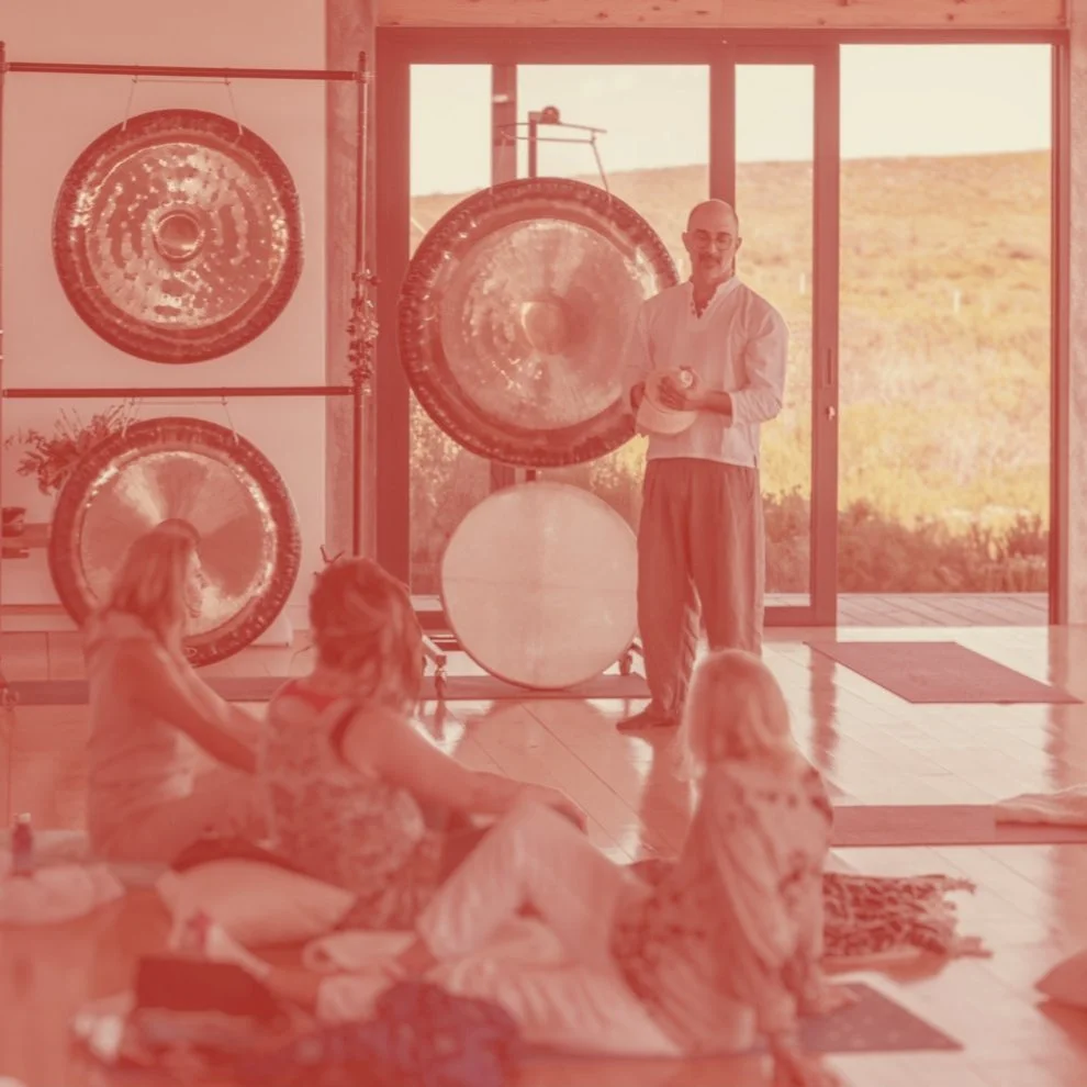 A person kneeling and playing large gongs in a room with intricate rugs and wallpaper, with two dogs lying on the floor nearby.