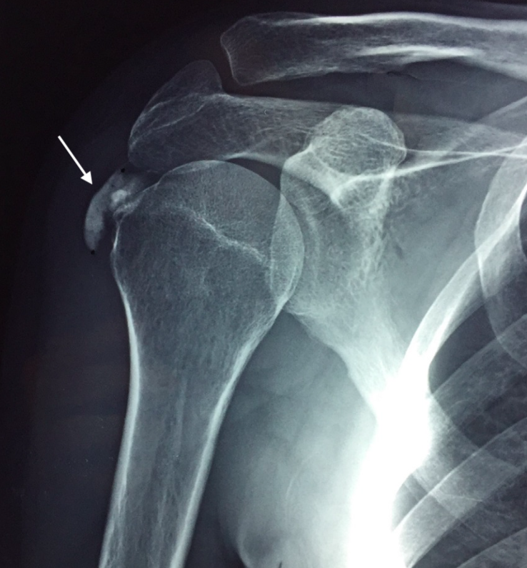 Bildschirmfoto 2024-08-28 um 10.44.14.png