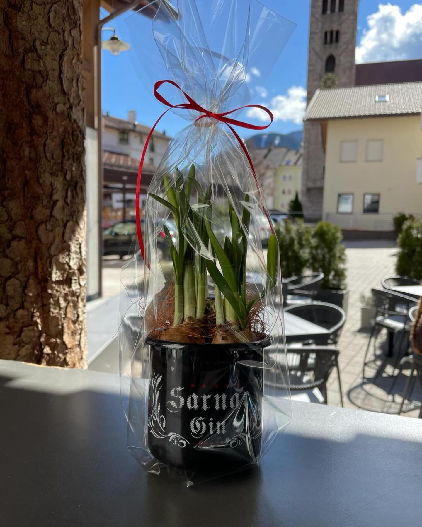 Sarnar Gin ist schon in Osterstimmung 🌷