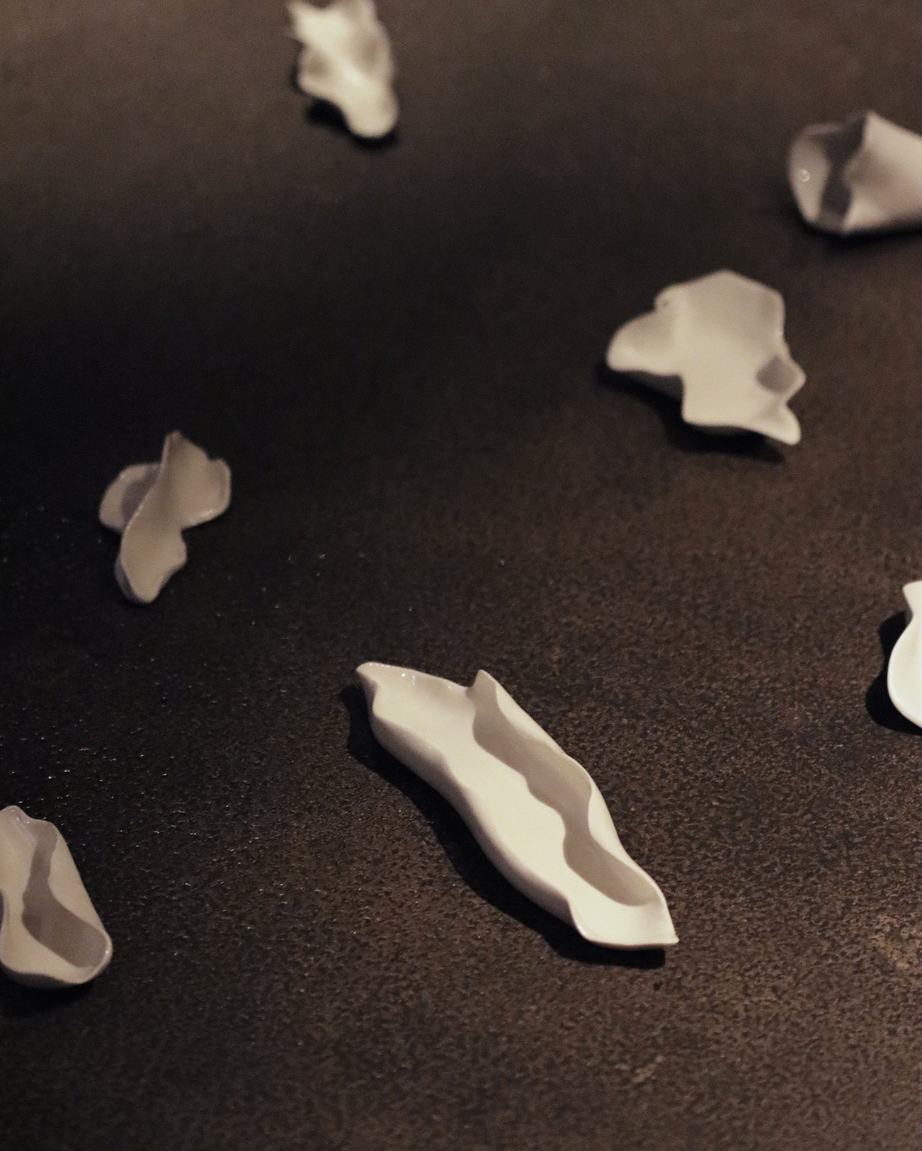 The things that dry and curly, the dying ones, porcelain, 2024