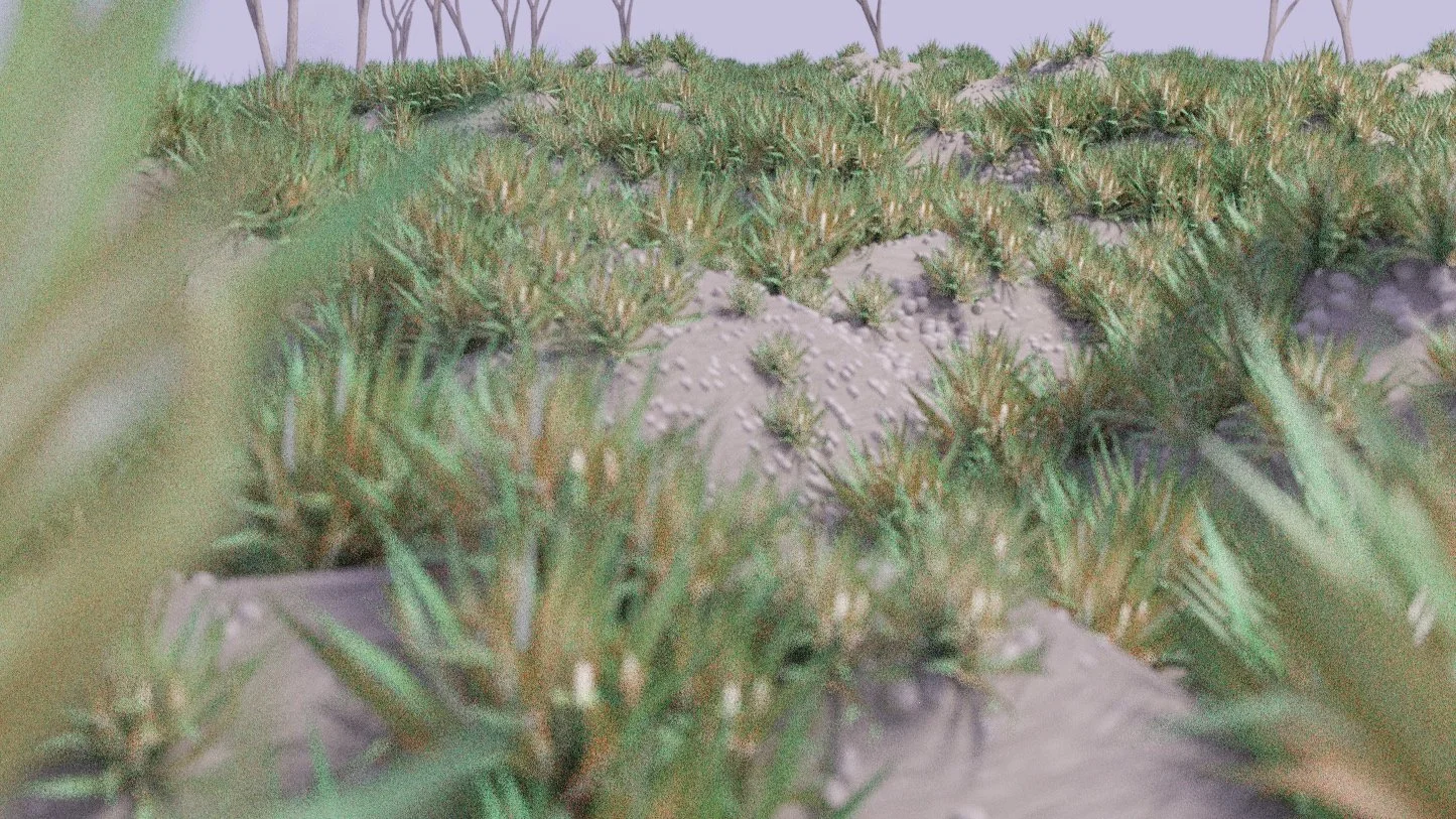dune3.jpg