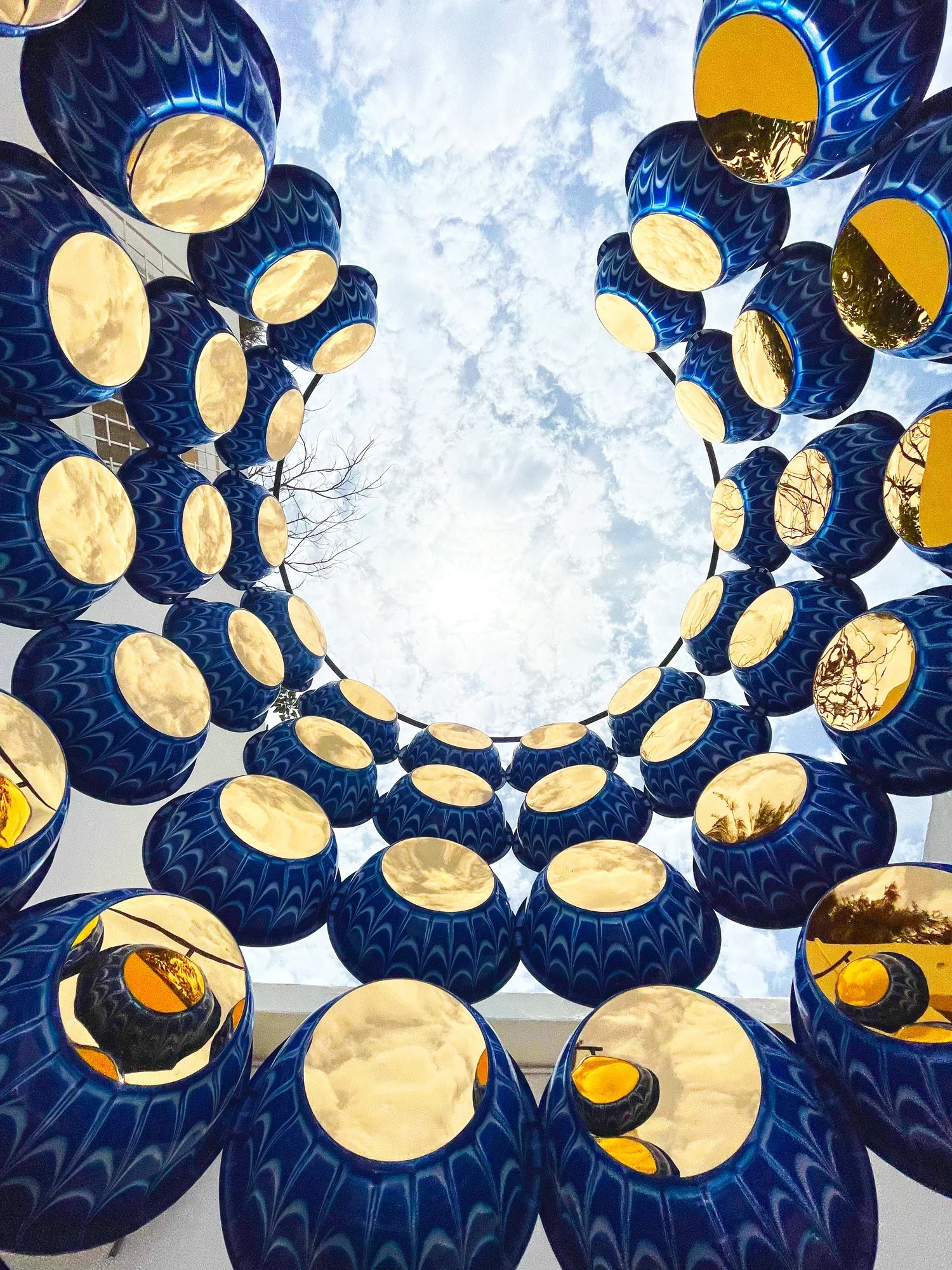 © Salu Iwadi Studio