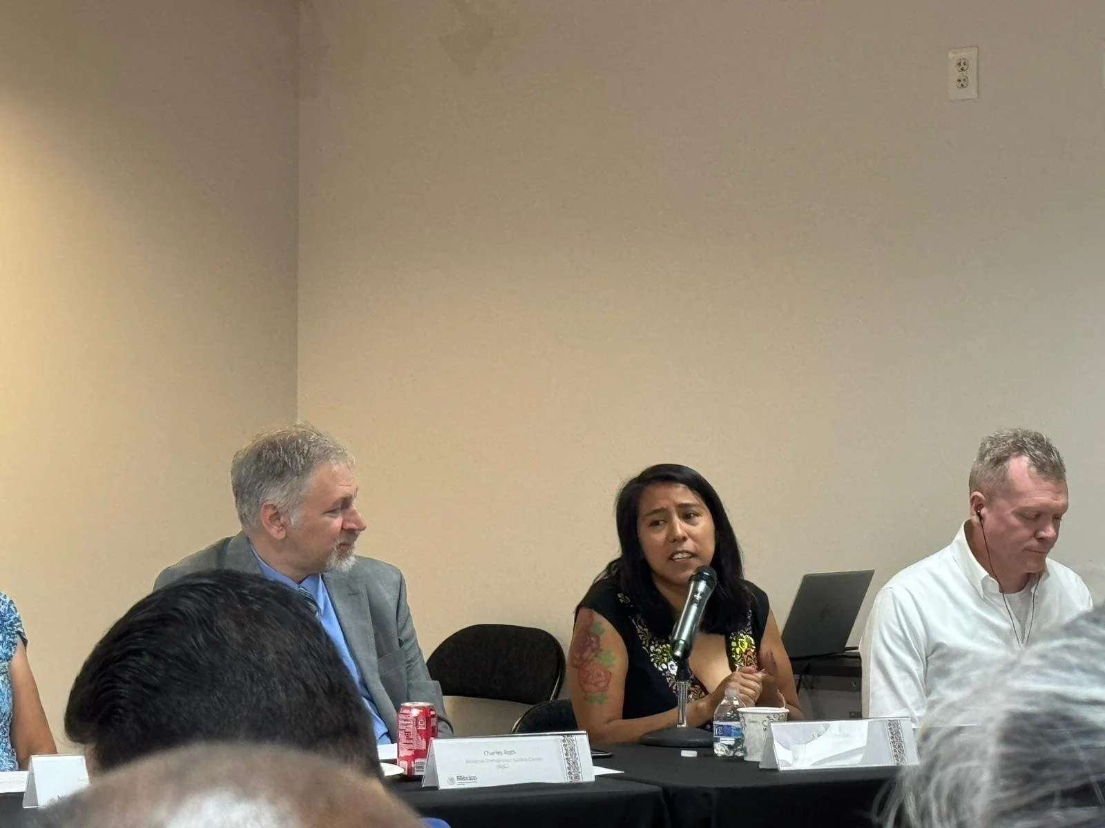Panelist Mexican Consulate.jpg