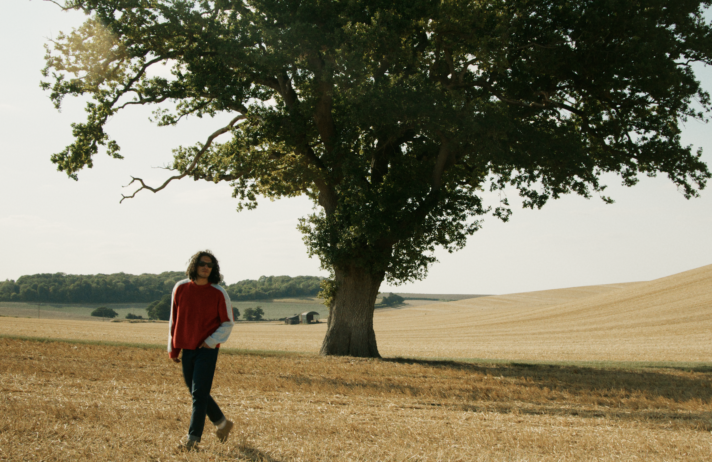 A person with long curly hair wearing a red and white sweater and black pants walking in a field with a large tree in the background on a sunny day.