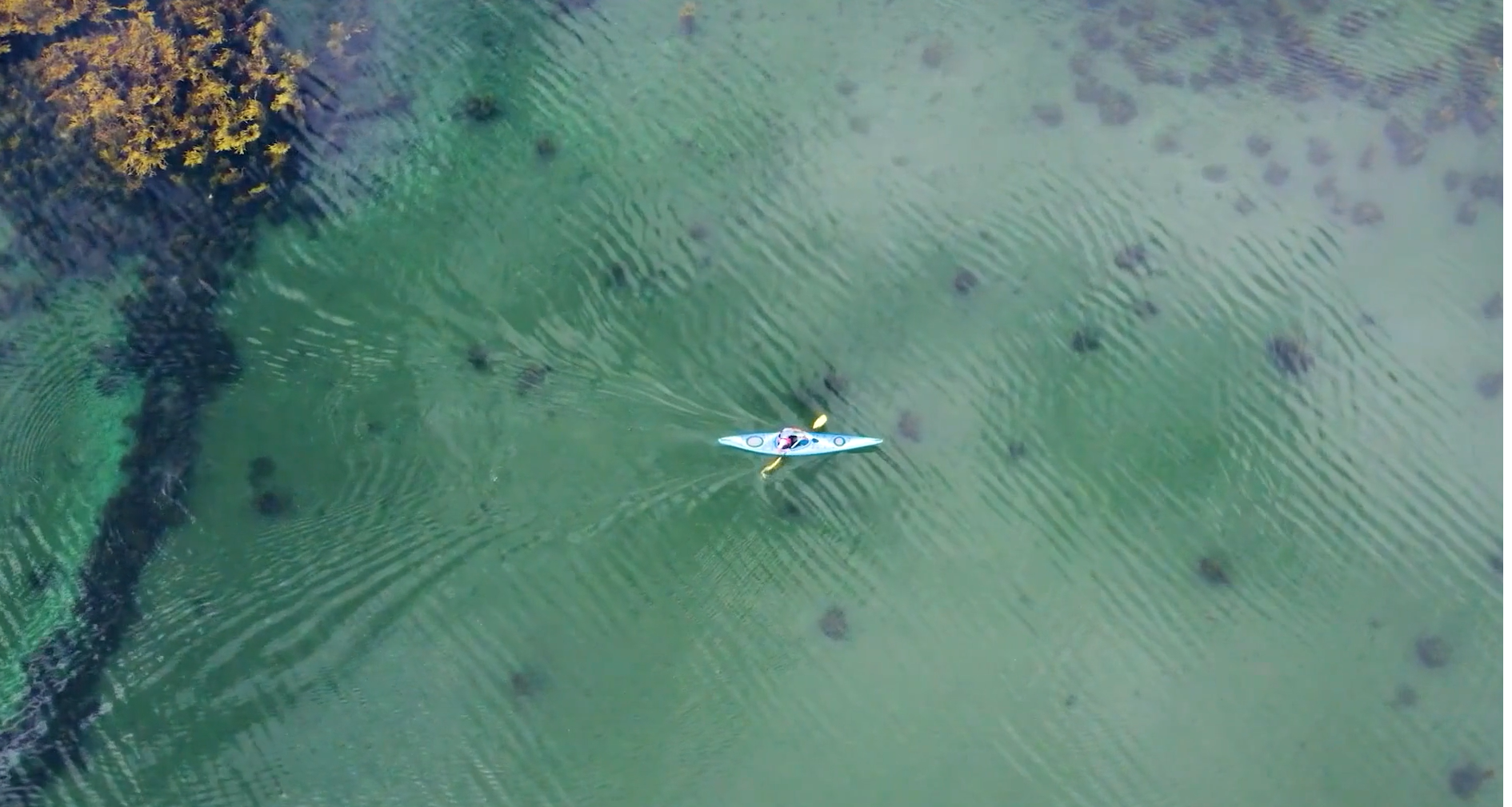 Blue Economy & Lifesciences