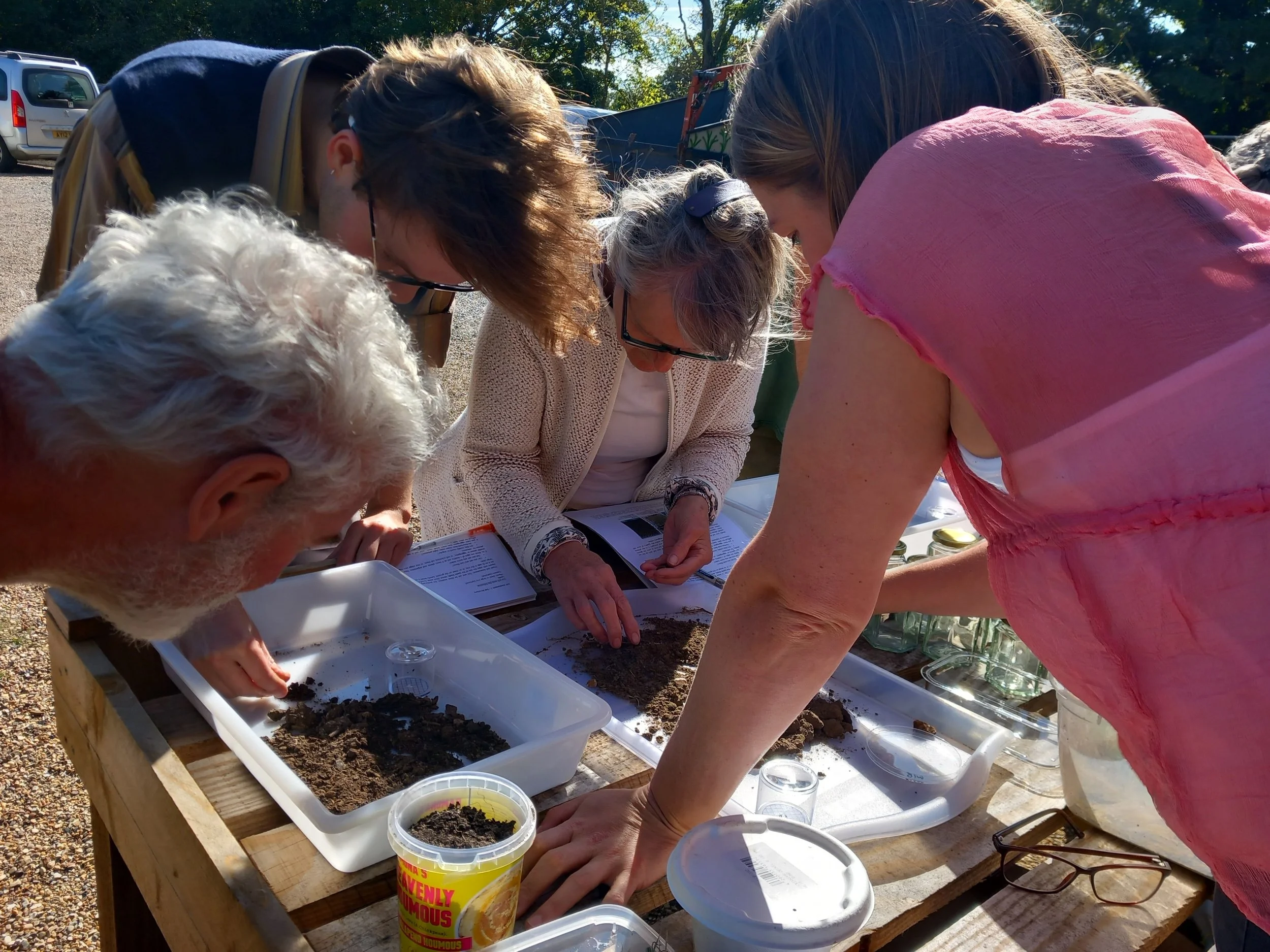 Introduction to Agroecology: Course 4 - Norwich &amp; Suffolk