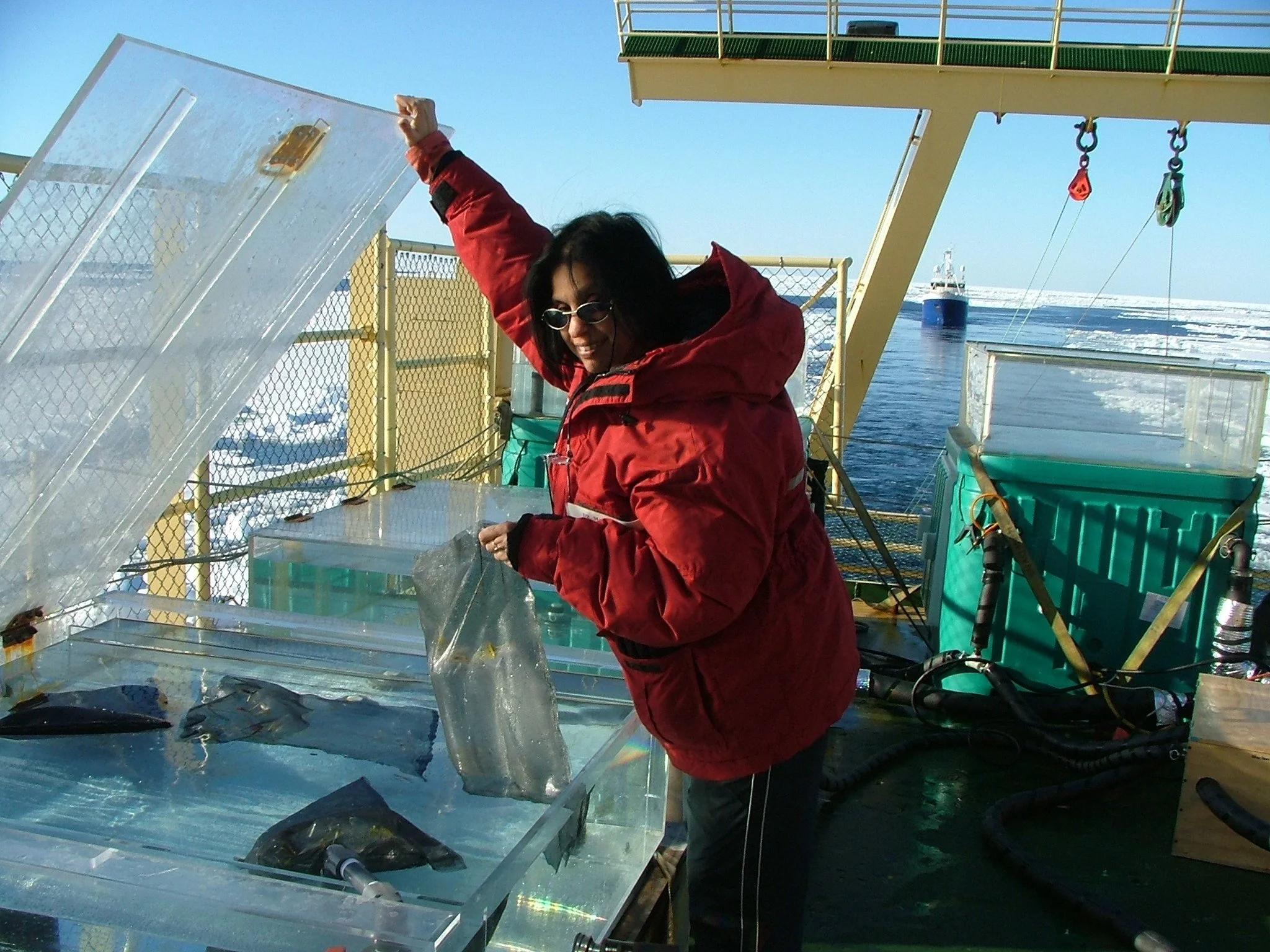 Collecting our incubation bags.jpg