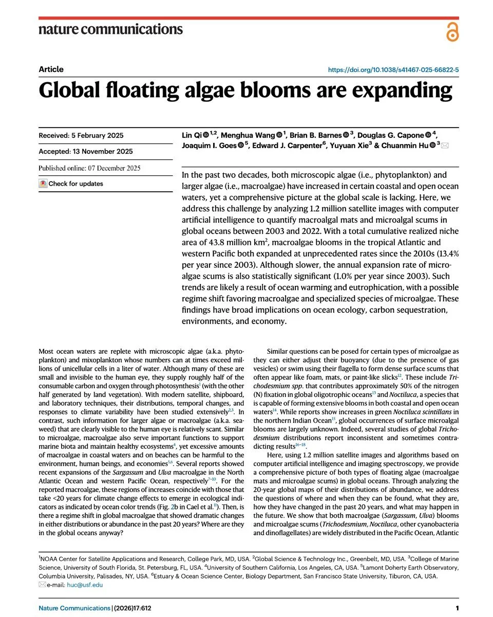 2026_Qi_GlobalFloatingAlgae_NatureCommunications_p01.jpg