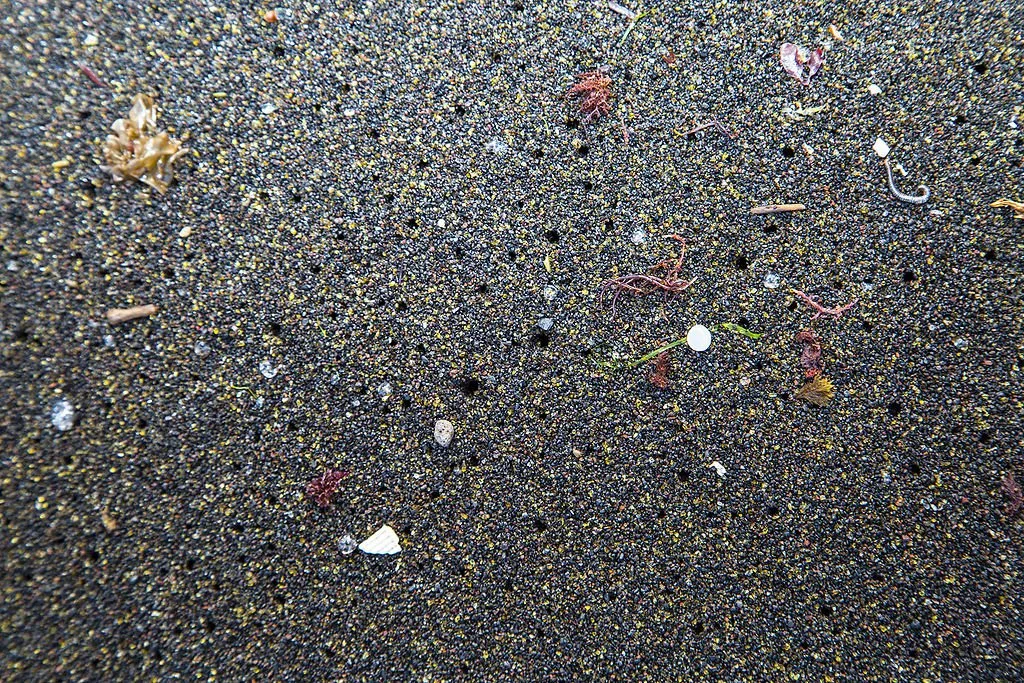 raceforwater_petercharaf_microplasticsazores_2.jpg