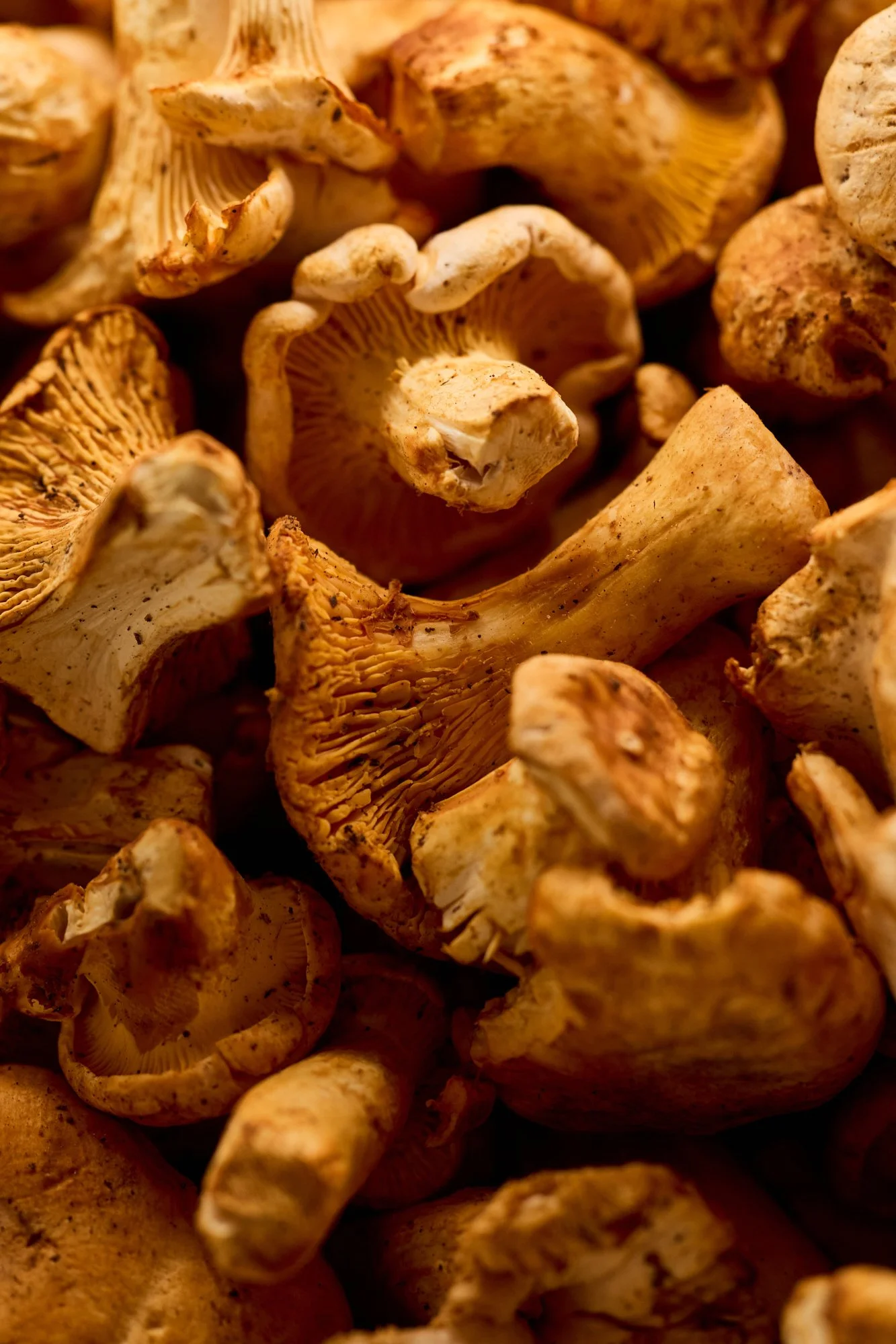 Fleur De Sel R6C_0047.jpg