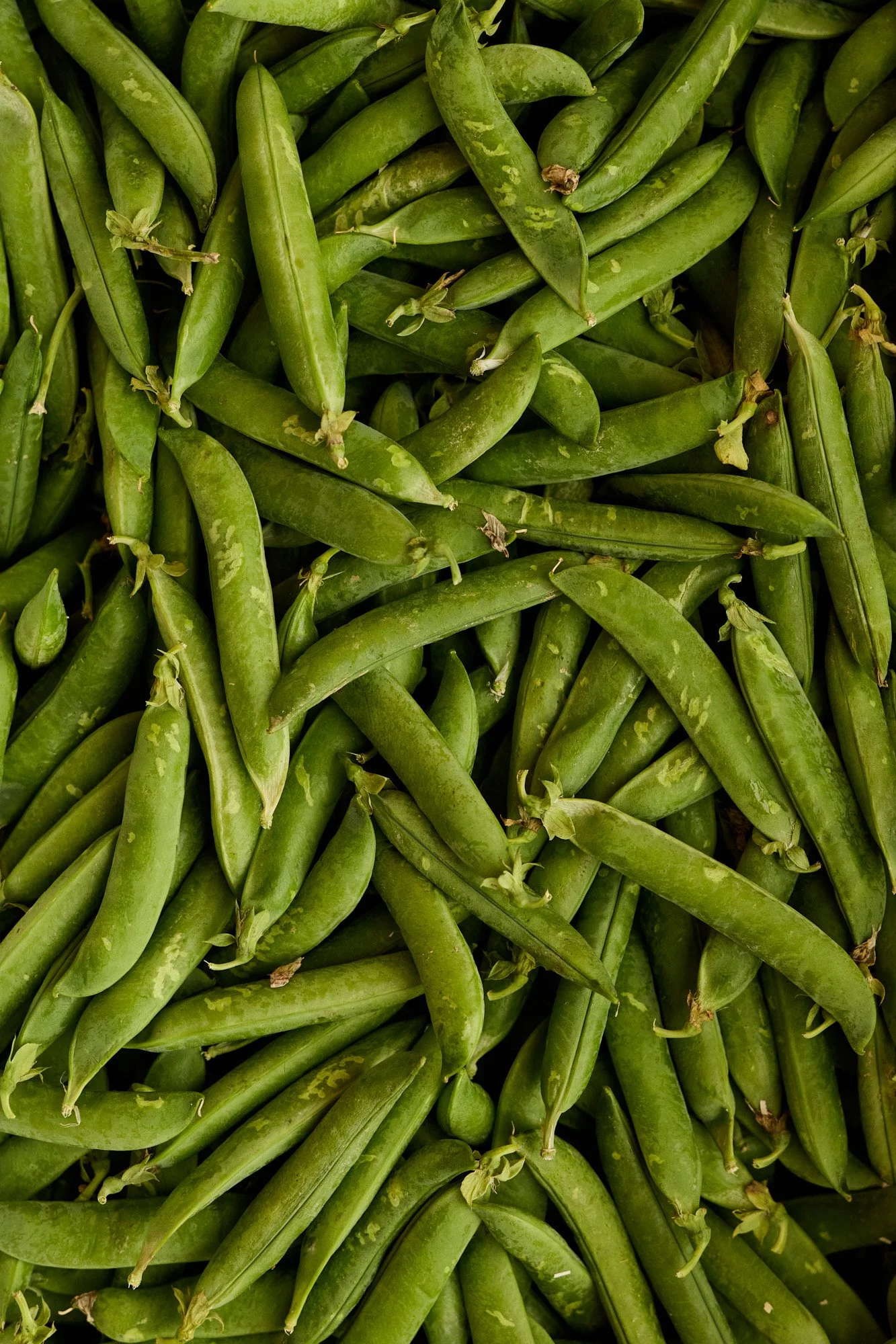 Fleur De Sel R6C_0021.jpg