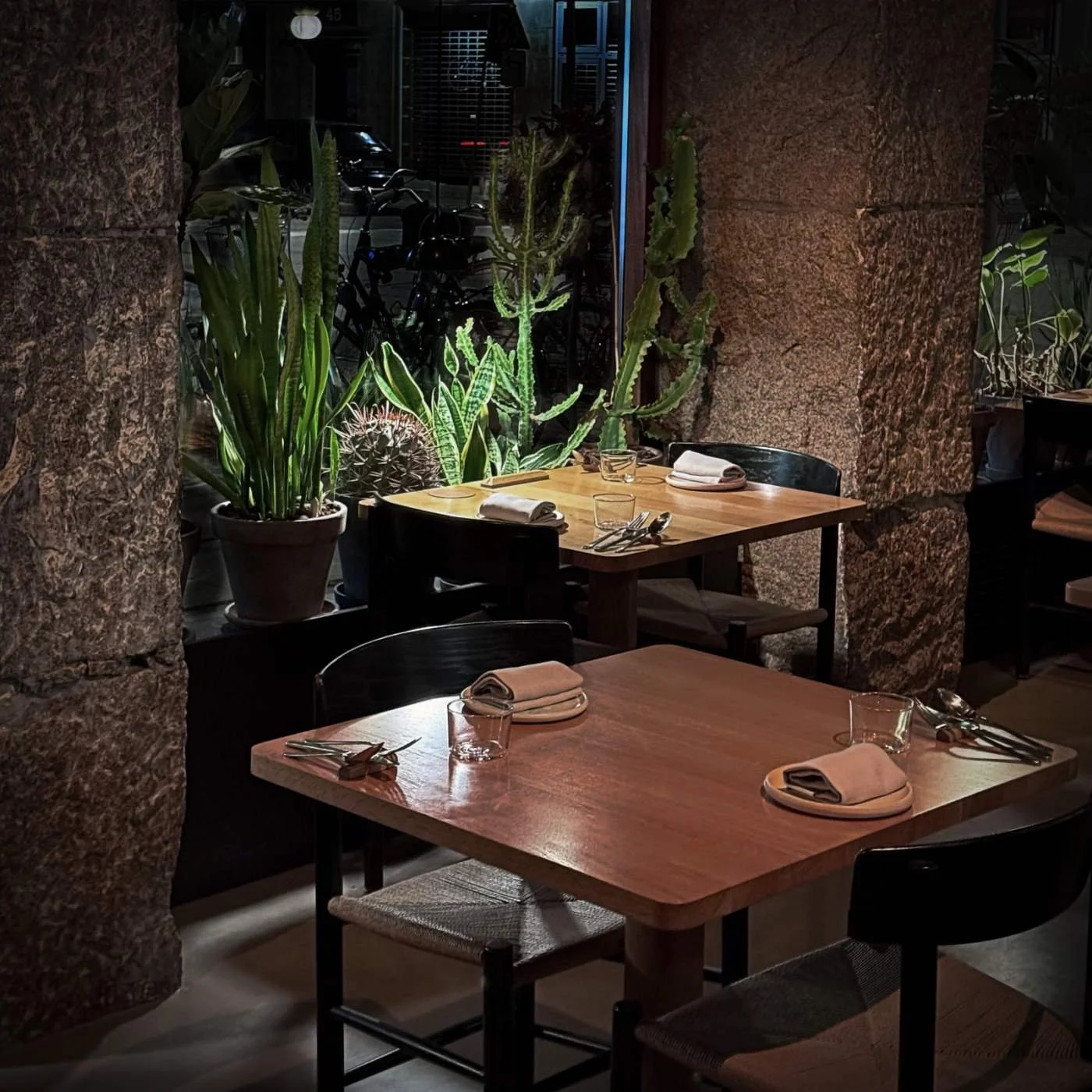 Gedeckte Holztische neben großen Kakteen im Gastraum des Restaurants Sanchez in Kopenhagen Vesterbro.