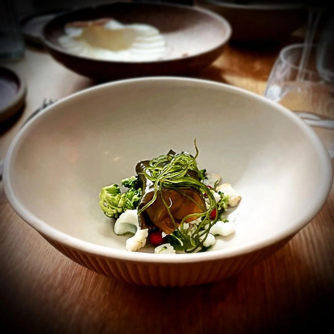 Octopus starter from Iluka restaurant in Copenhagen, served in a light ceramic bowl with green seaweed strands, small white vegetable pieces, herbs and a liquorice spiral on a wooden table.