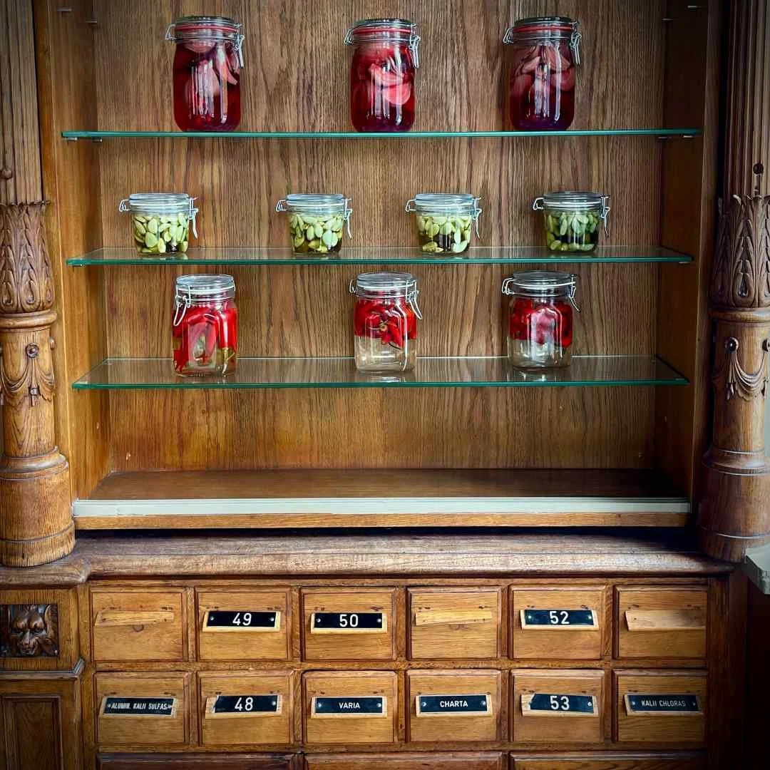 A vintage wooden apothecary cabinet at Apotek 57 in Copenhagen featuring jars of pickles on glass shelves and numbered drawers.
