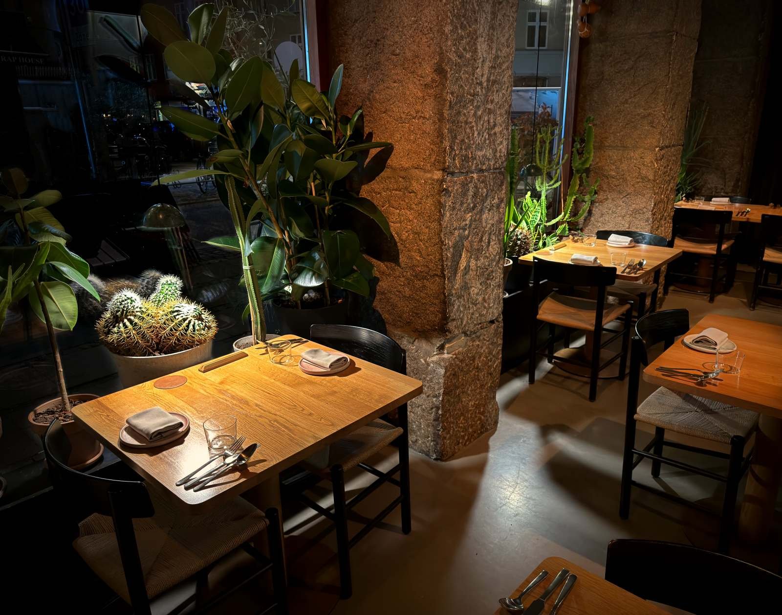 Gedeckte Holztische und große Kakteen im Restaurant Sanchez in Kopenhagen Vesterbro bei gemütlicher Abendbeleuchtung.