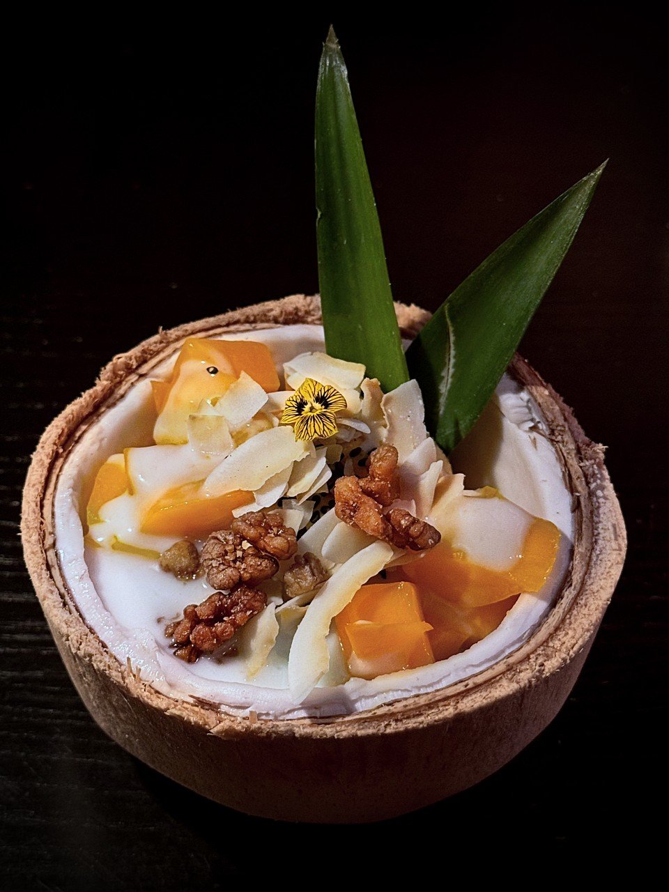 Dessert in einer ausgehöhlten Kokosnussschale mit Kokoscreme, Mango, Sticky Rice, gerösteten Nüssen, Kokoschips, essbarer Blüte und zwei grünen Blättern als Dekoration.