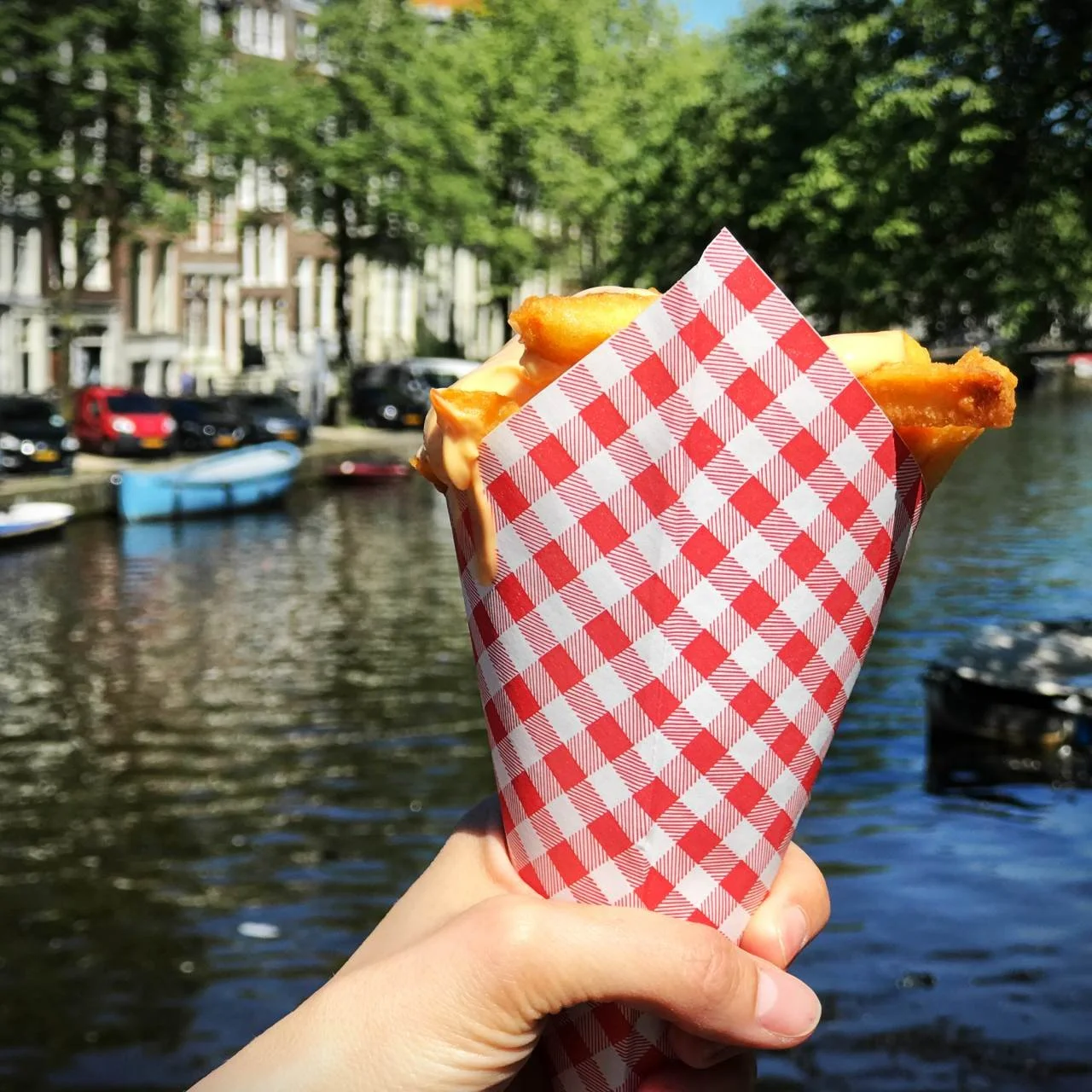 Eine Hand hält eine rot-weiß karierte Tüte Pommes frites von Fabel Friet vor einer Gracht in Amsterdam. Im Hintergrund sind Bäume und ein blaues Boot auf dem Wasser zu sehen.