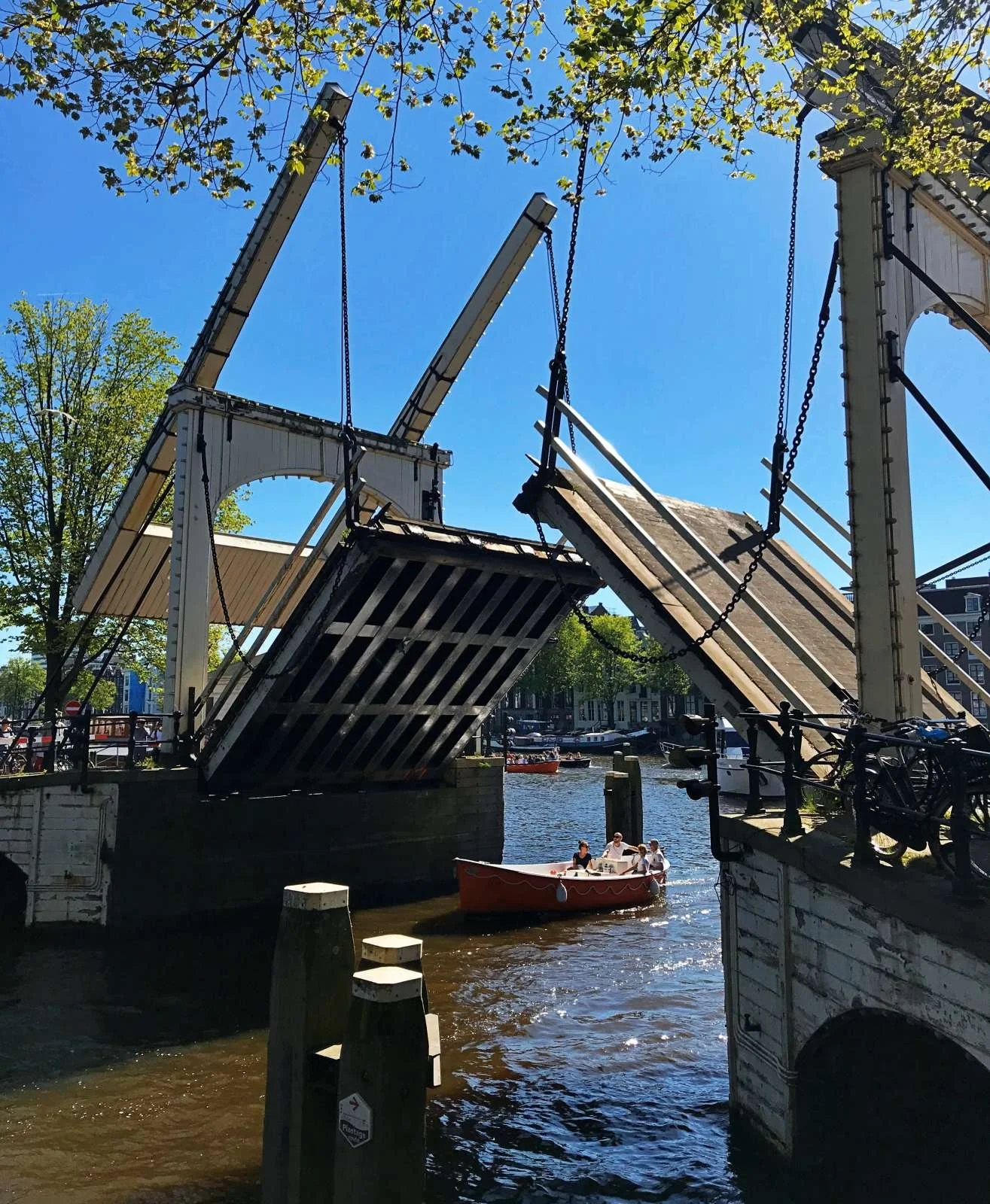 Eine geöffnete weiße Klappbrücke steht über einer Gracht in Amsterdam. Ein kleines rotes Boot mit Passagieren fährt bei strahlendem Sonnenschein unter der Brücke hindurch.