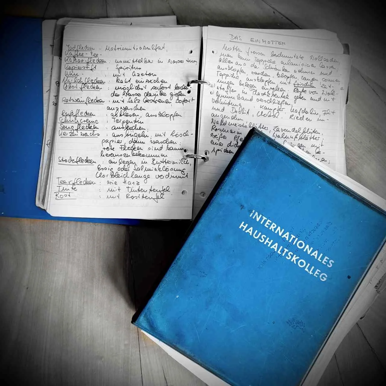 Ein aufgeschlagenes Notizbuch mit handschriftlichen Einträgen zur Fleckenentfernung und Haushaltsführung liegt auf einer Holzoberfläche. Daneben befindet sich ein geschlossenes, blaues Buch mit der weißen Aufschrift „INTERNATIONALES HAUSHALTSKOLLEG“.