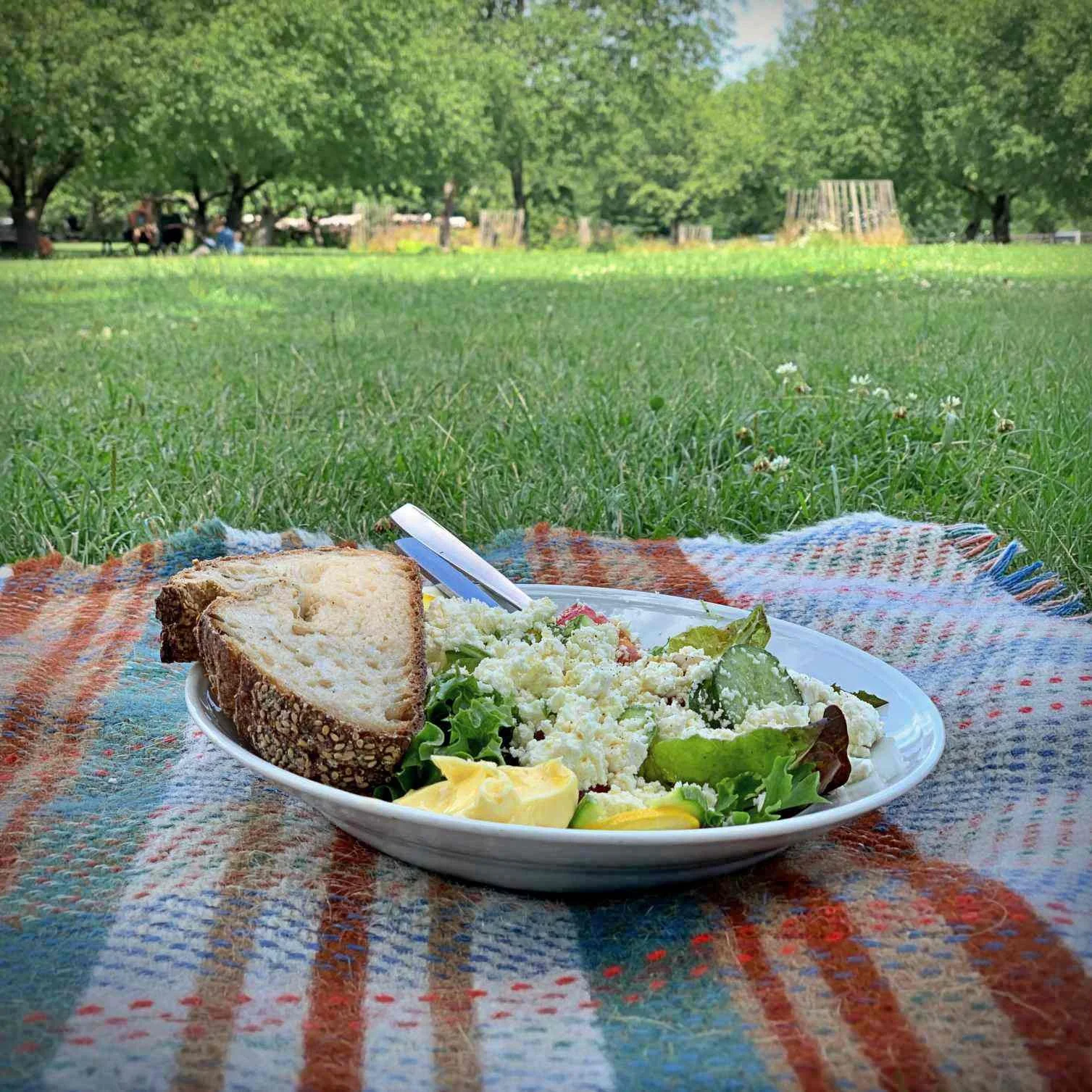 A white plate with salad, butter, and a slice of bread sits on a checkered picnic blanket. A green meadow with shade-providing trees stretches out in the background.