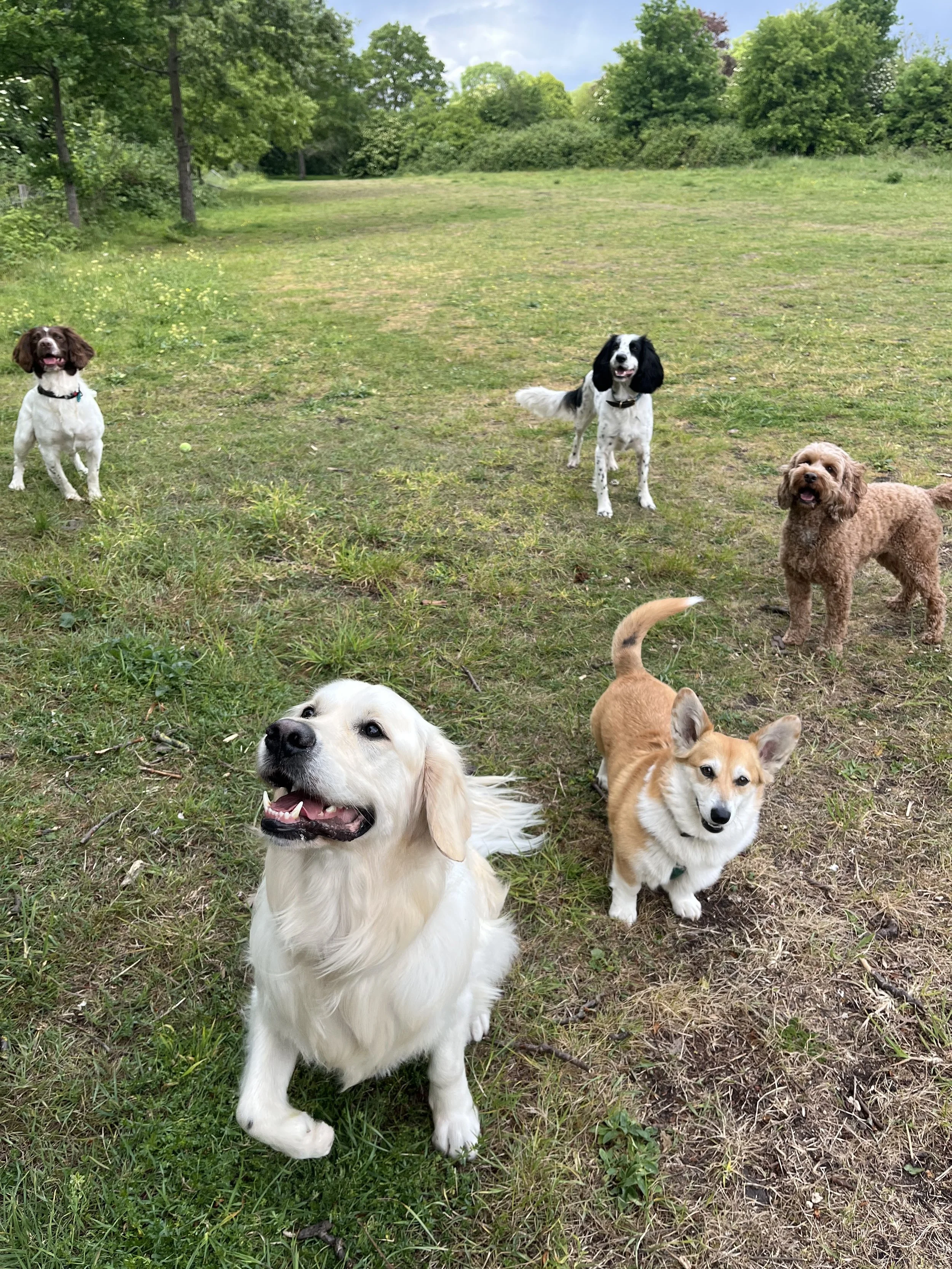 Daycare