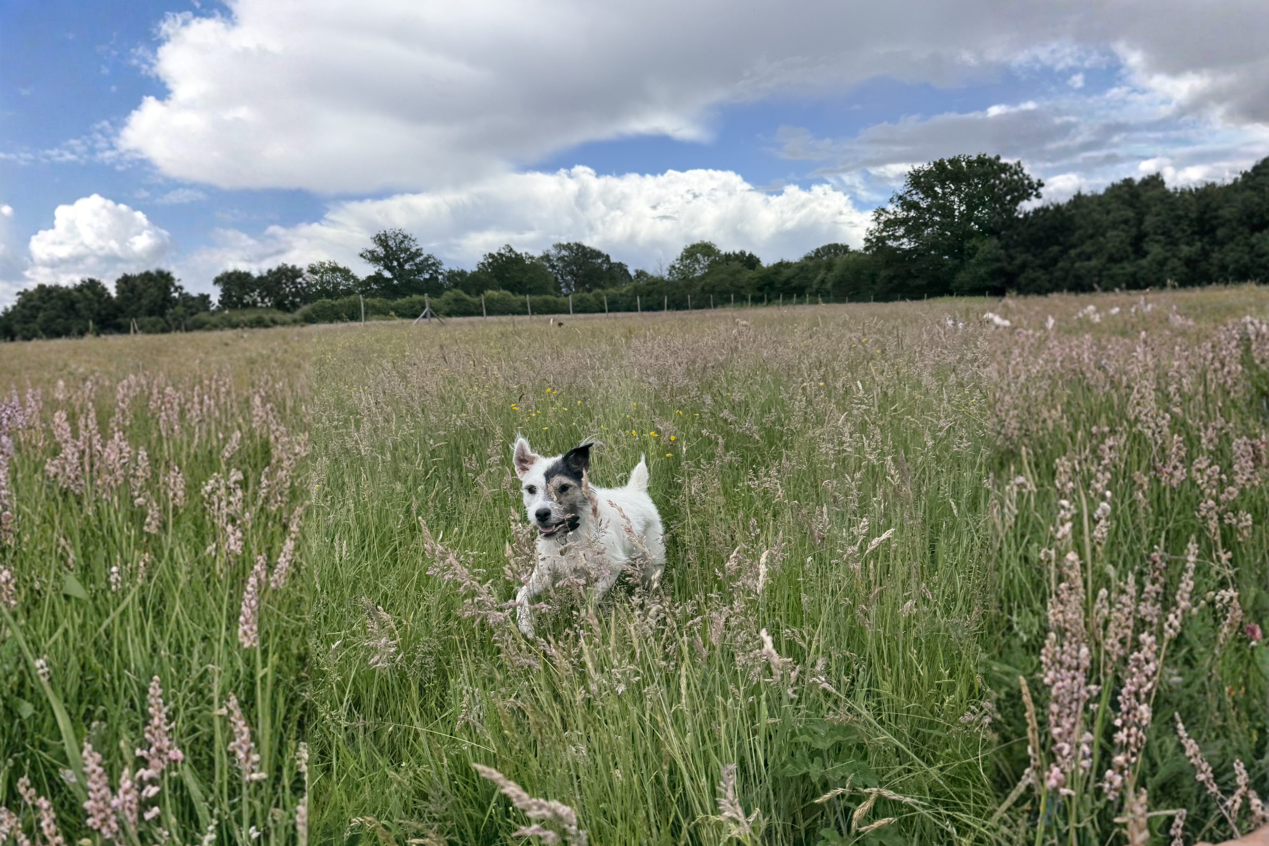 Countryside Adventures