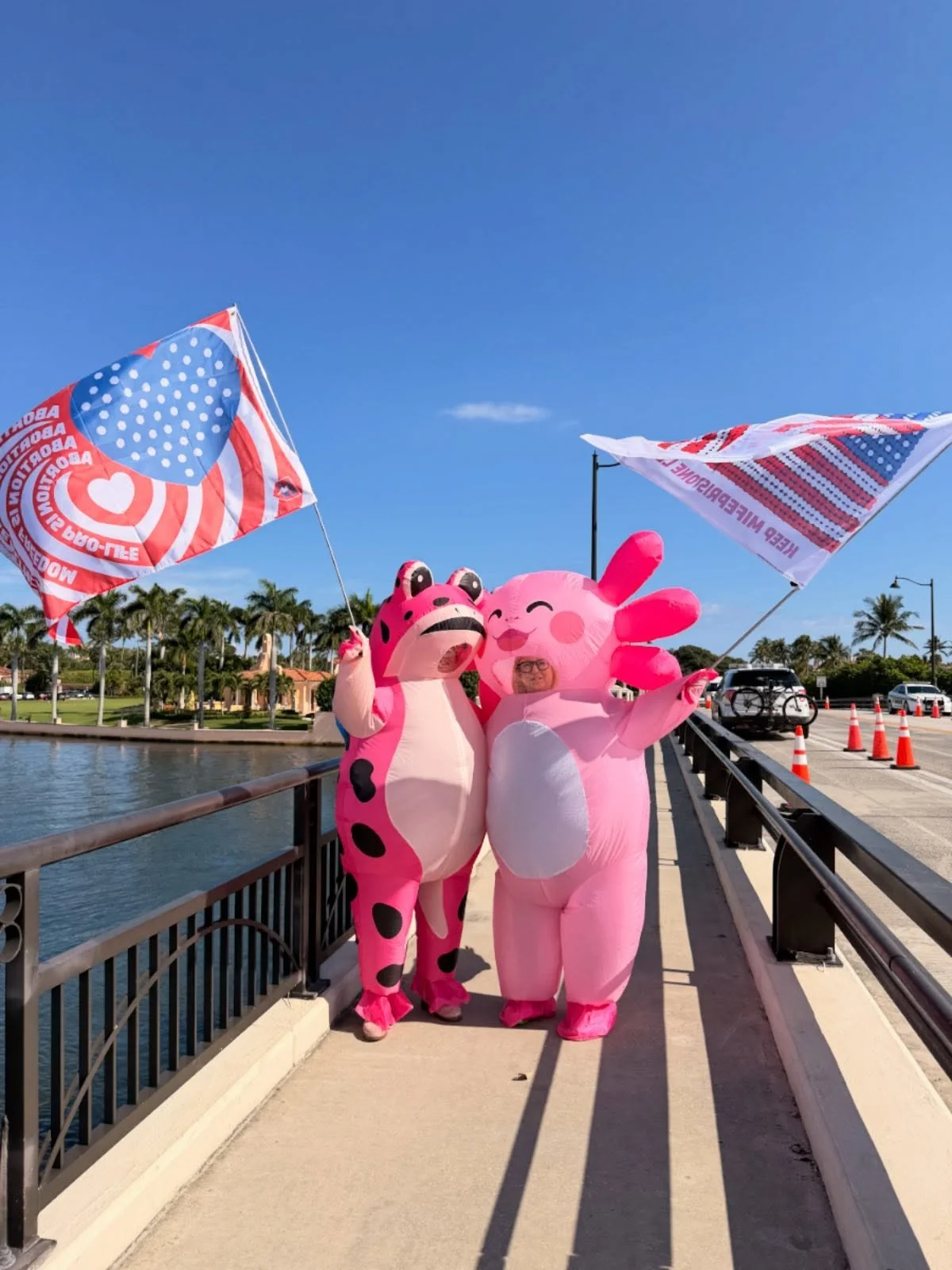Being an artivist, lesson 2: be unrecognizable when protesting at Mar-a-Lago, wear a mask or something else. And bring patriotic American flags. Trumpanzees will love it! 🇺🇸😂 With @michelepred
.
⚡️@Pest_AC. For A Better World
@4cryingartloud @mart