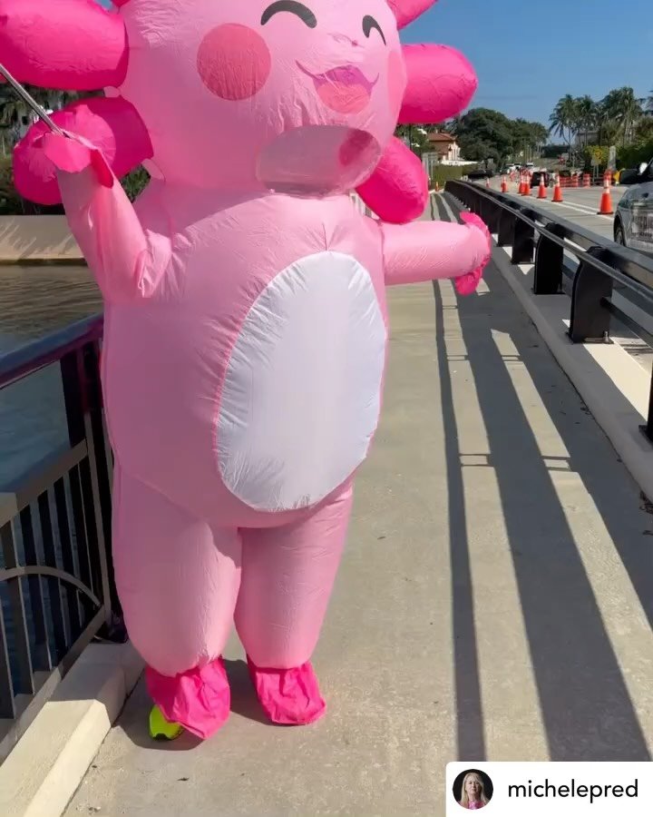💪🏼💗Repost &bull; @michelepred @airco_caravan and I making good trouble outside Mar-a-Lago on Sunday. 🐸 🐷We ditched our plan to project directly onto Mar-a-Lago the night before, too much fuzz. So instead, we lit up the tall hedges a few blocks a