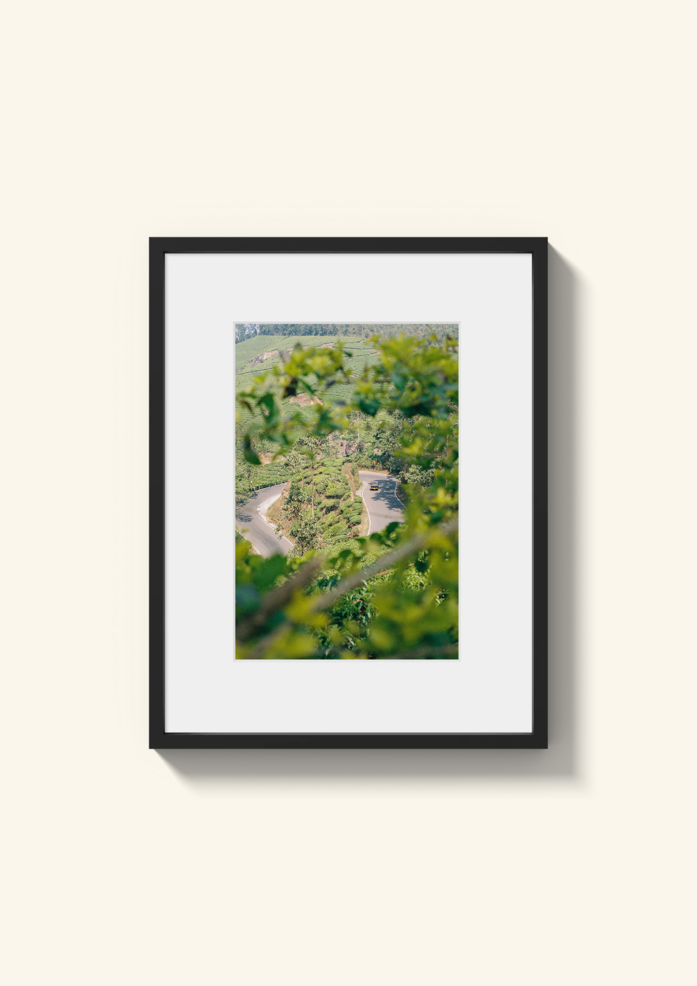Montée vers Munnar (2).png